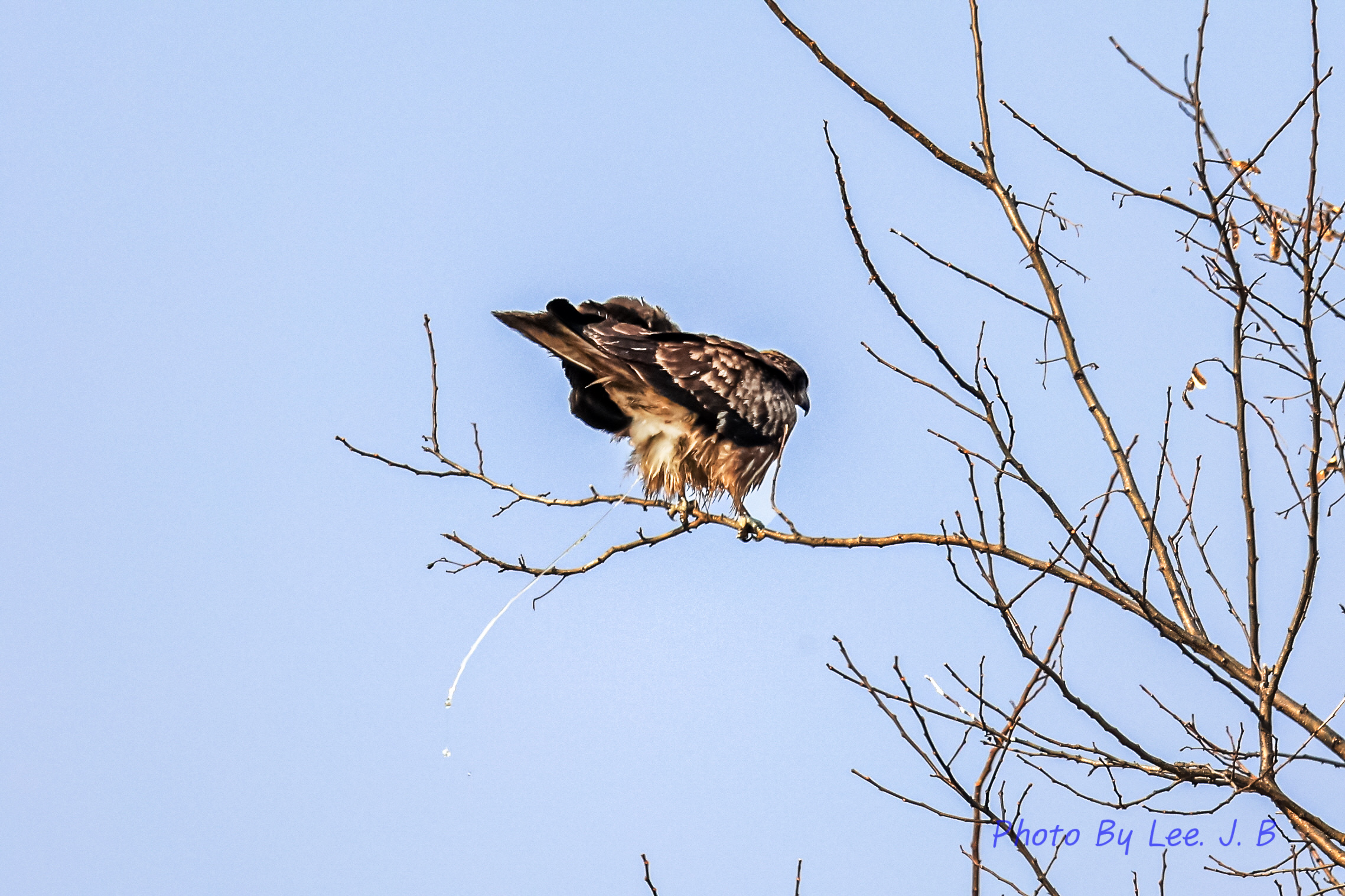 20231230-둔치도 (10).JPG