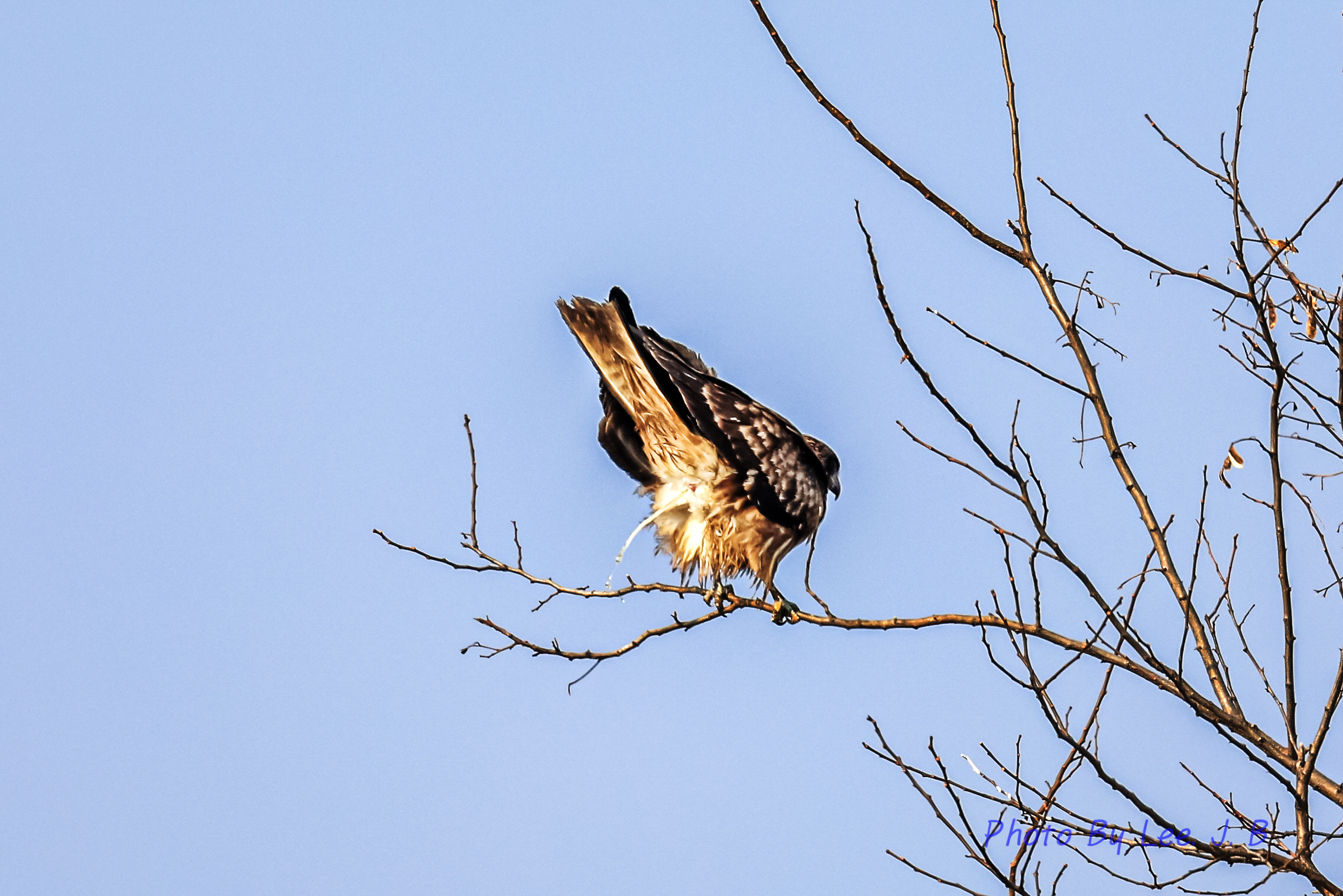 20231230-둔치도 (6).JPG