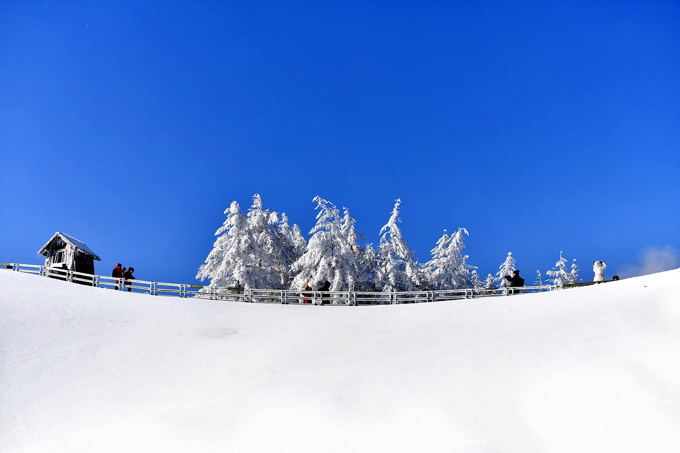 20240122 대관령양떼목장_0192_view-pw+.jpg