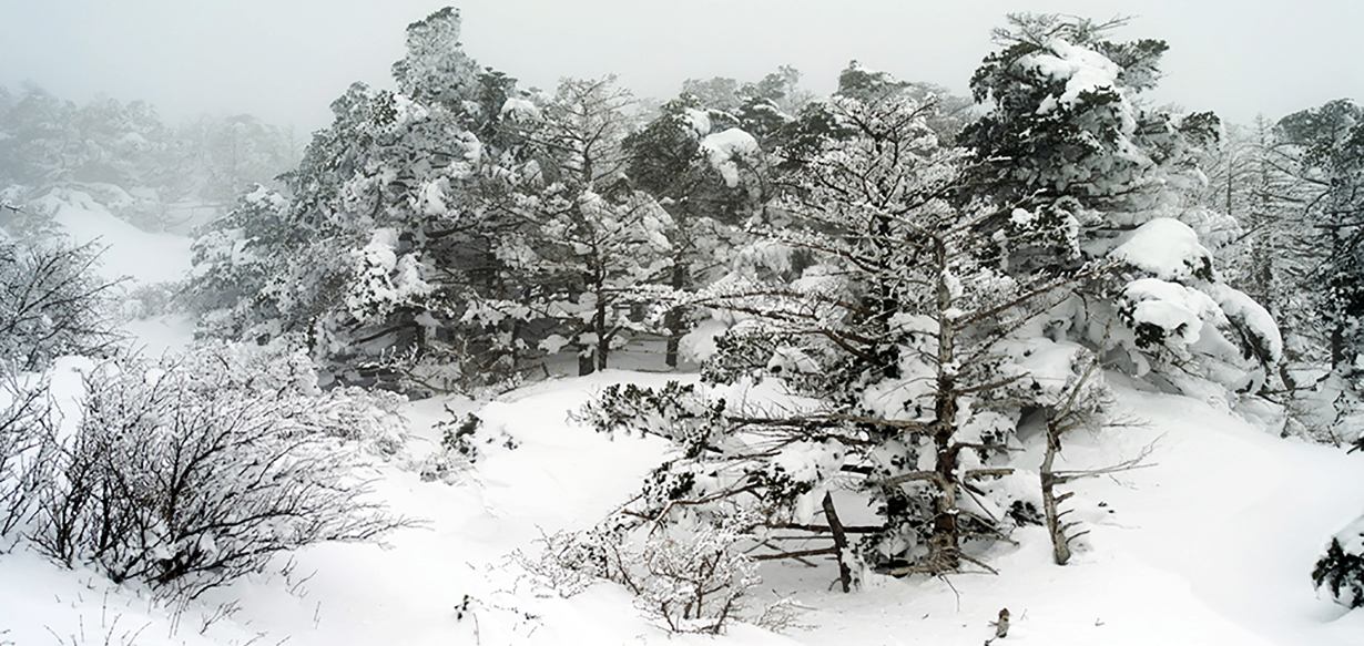 한라산설경1-2.jpg