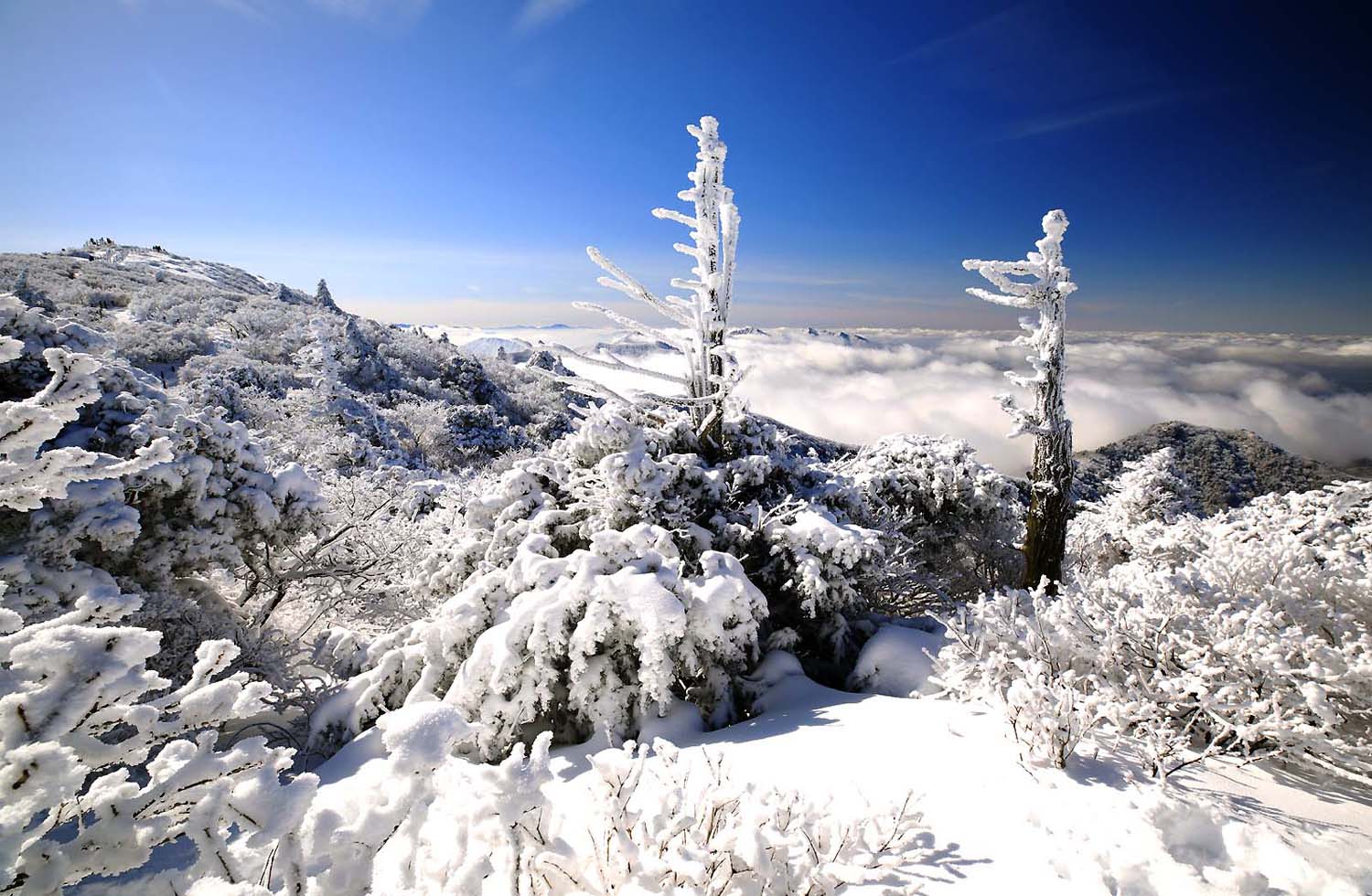 덕유산 설경120.JPG