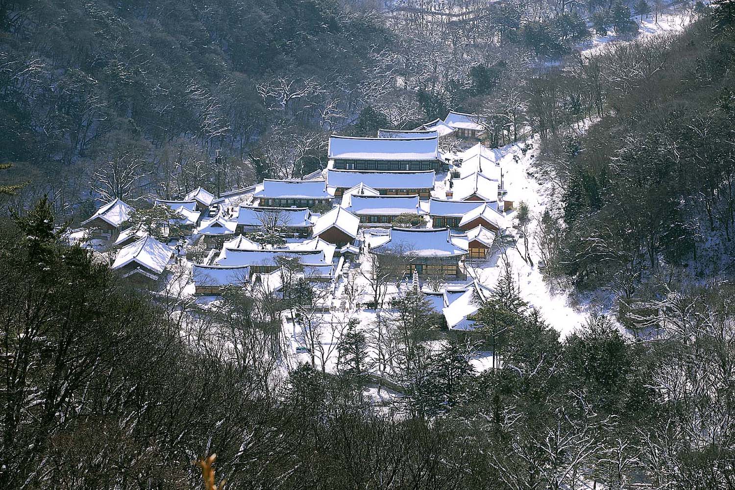 백양사 설경115.JPG