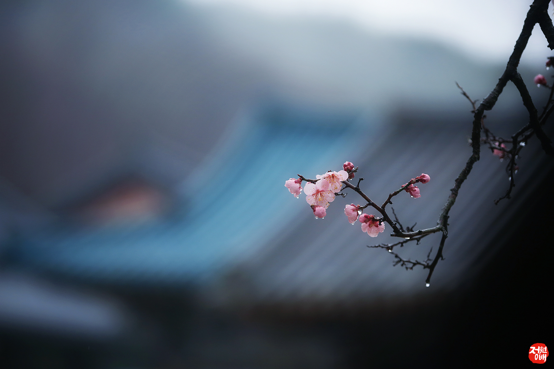 IMG_2507 복사 2.jpg