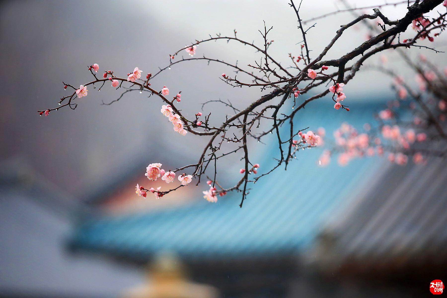 IMG_2812 복사 2.jpg