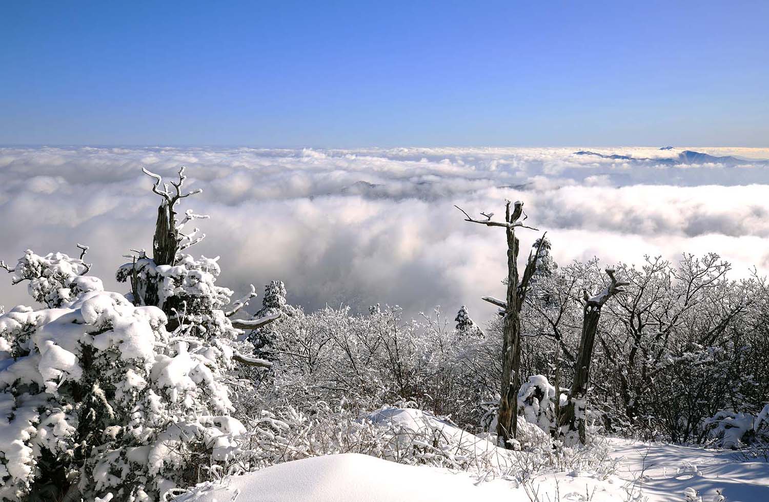 덕유산 설경58.JPG