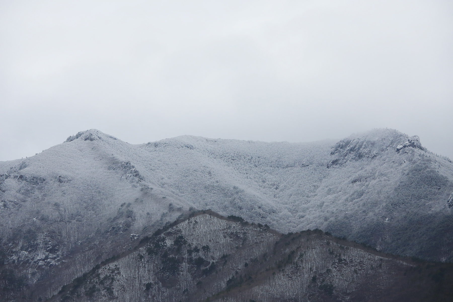 IMG_7043 복사 2.jpg