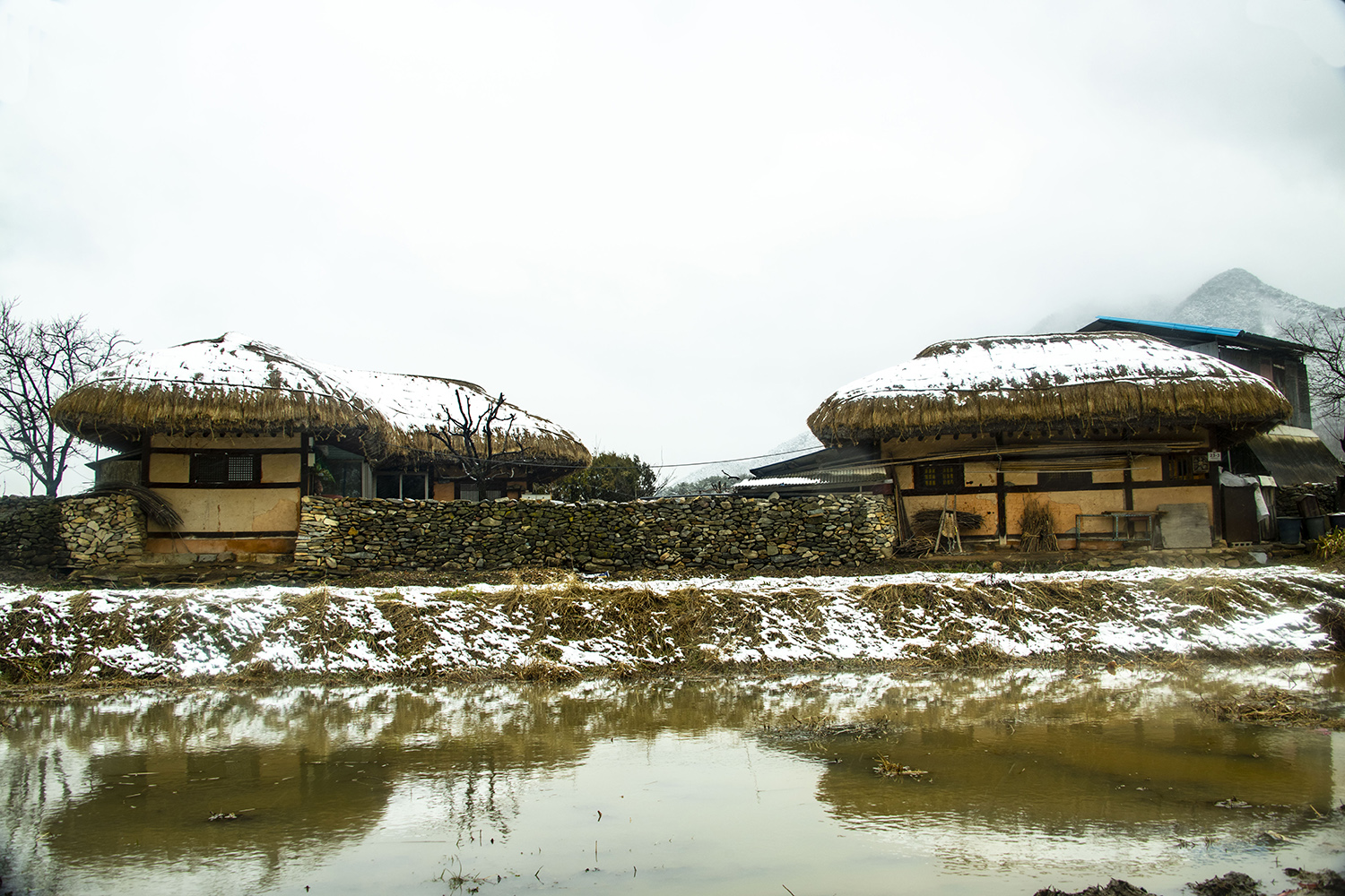 외암민속마을 (2).jpg
