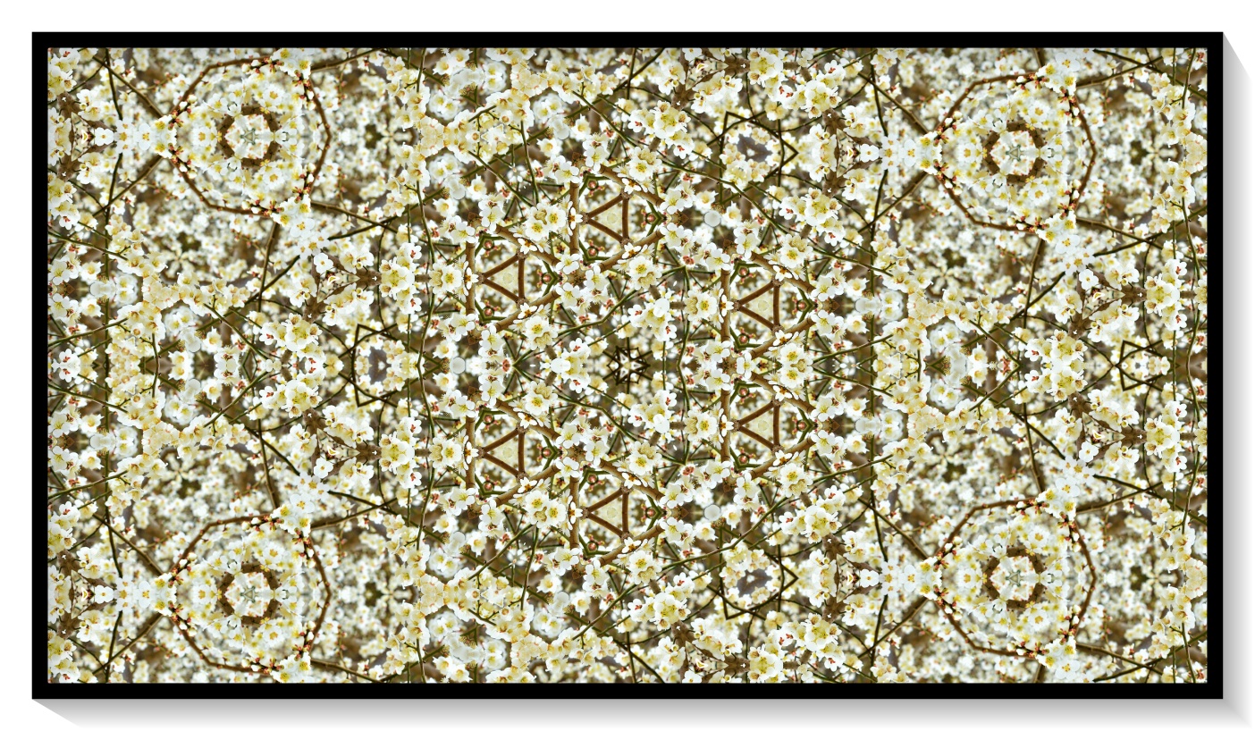 DSC_3486 - 복사본.JPG