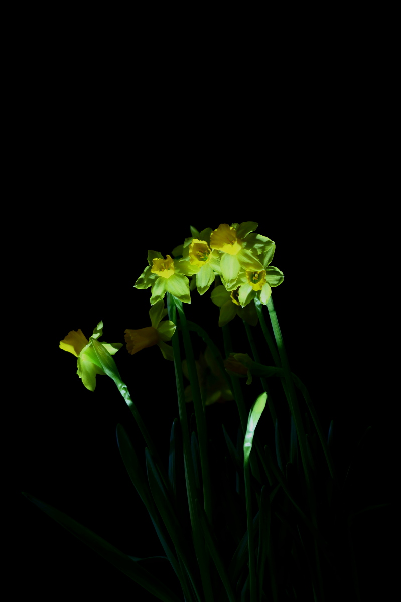 P1010963 (2) (2) (2).jpg