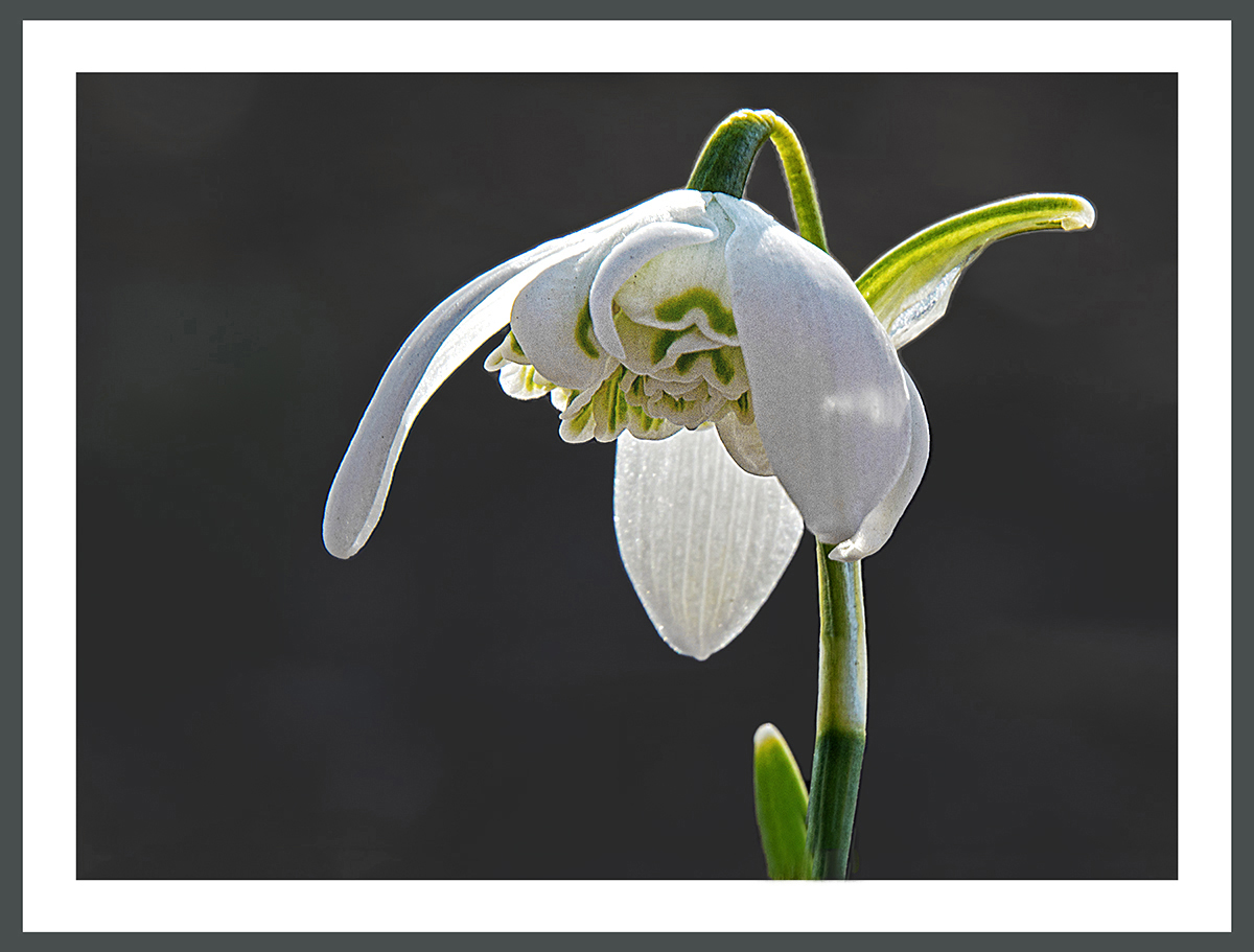 DSC05410 복사홈피.jpg