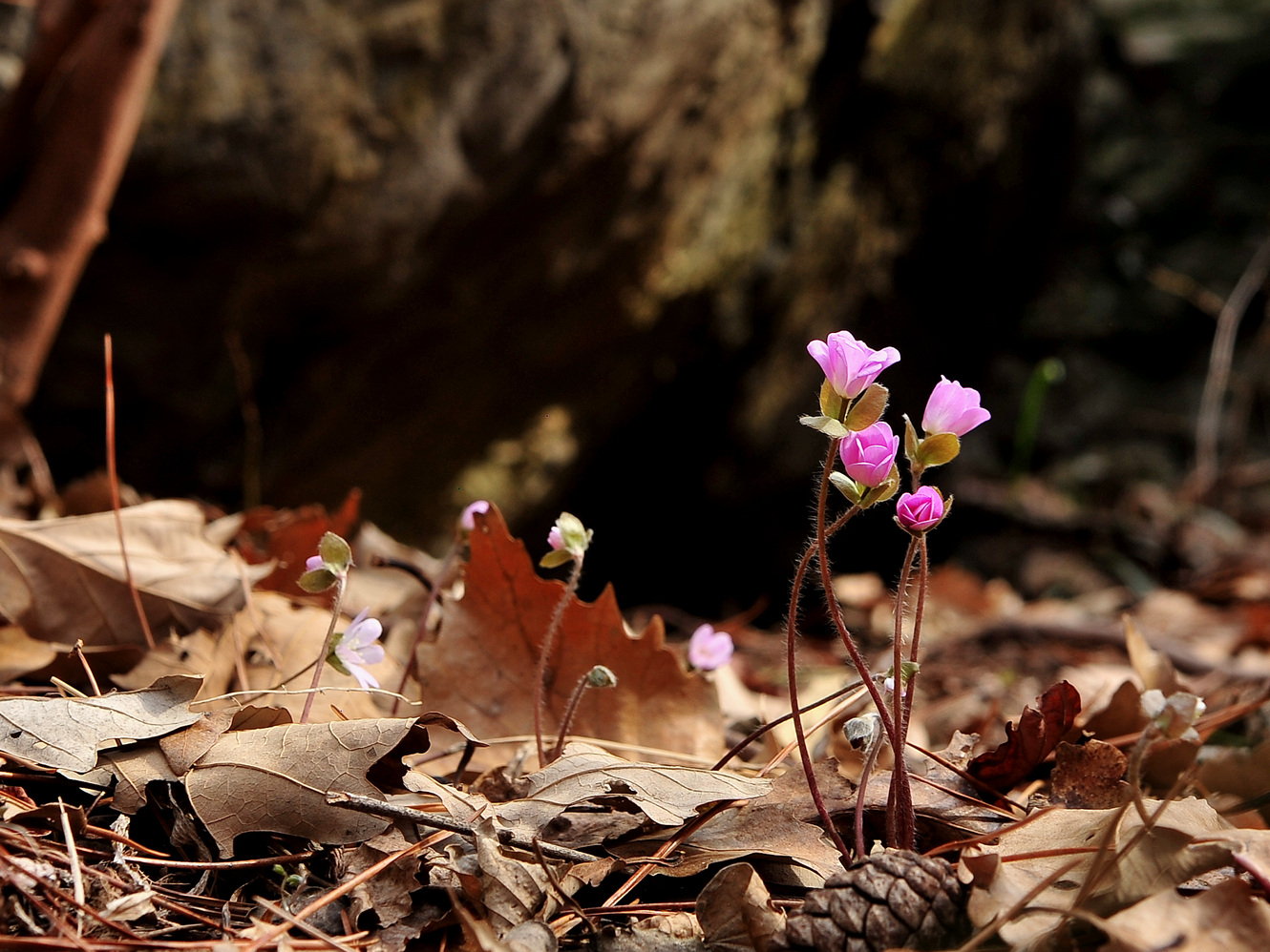 [꾸미기]DSC_6663.jpg