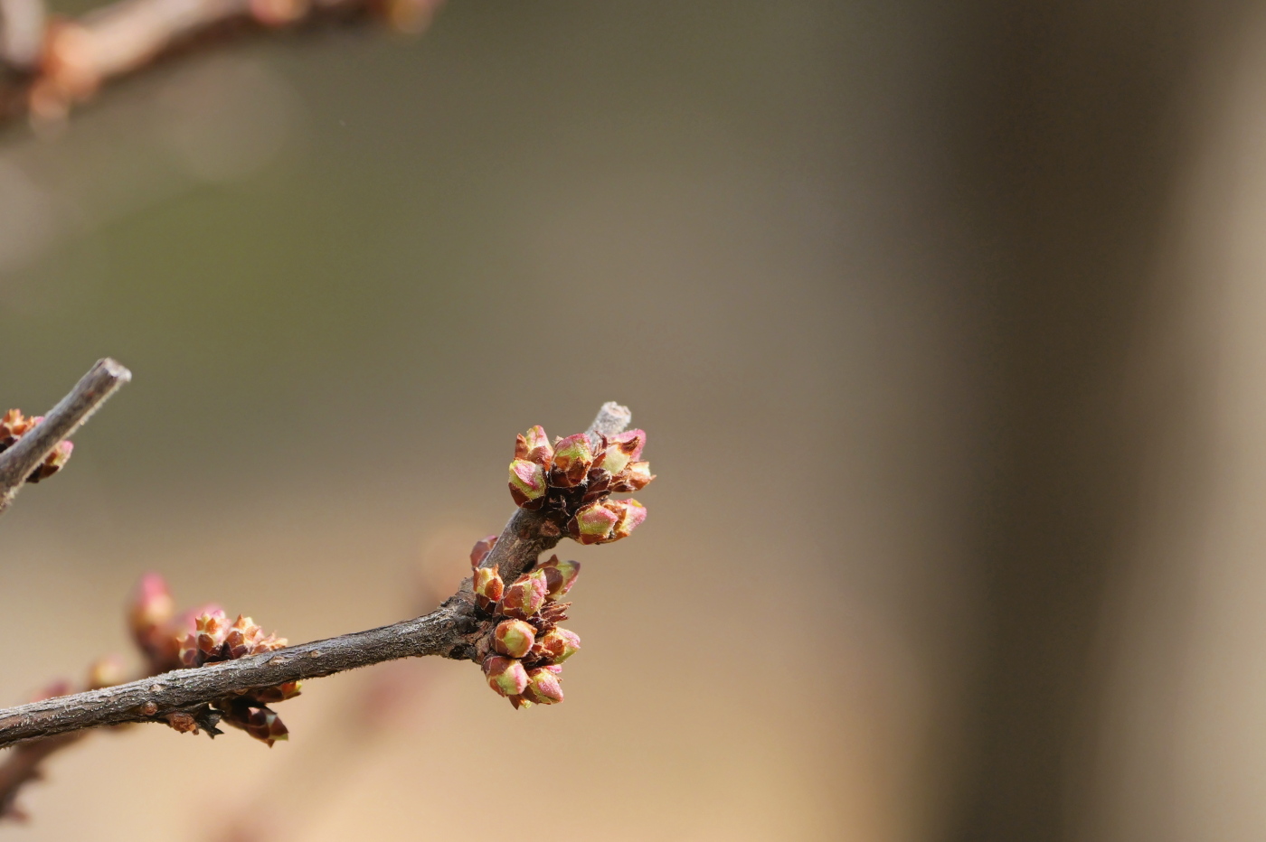 P1011248 (2) (2).jpg