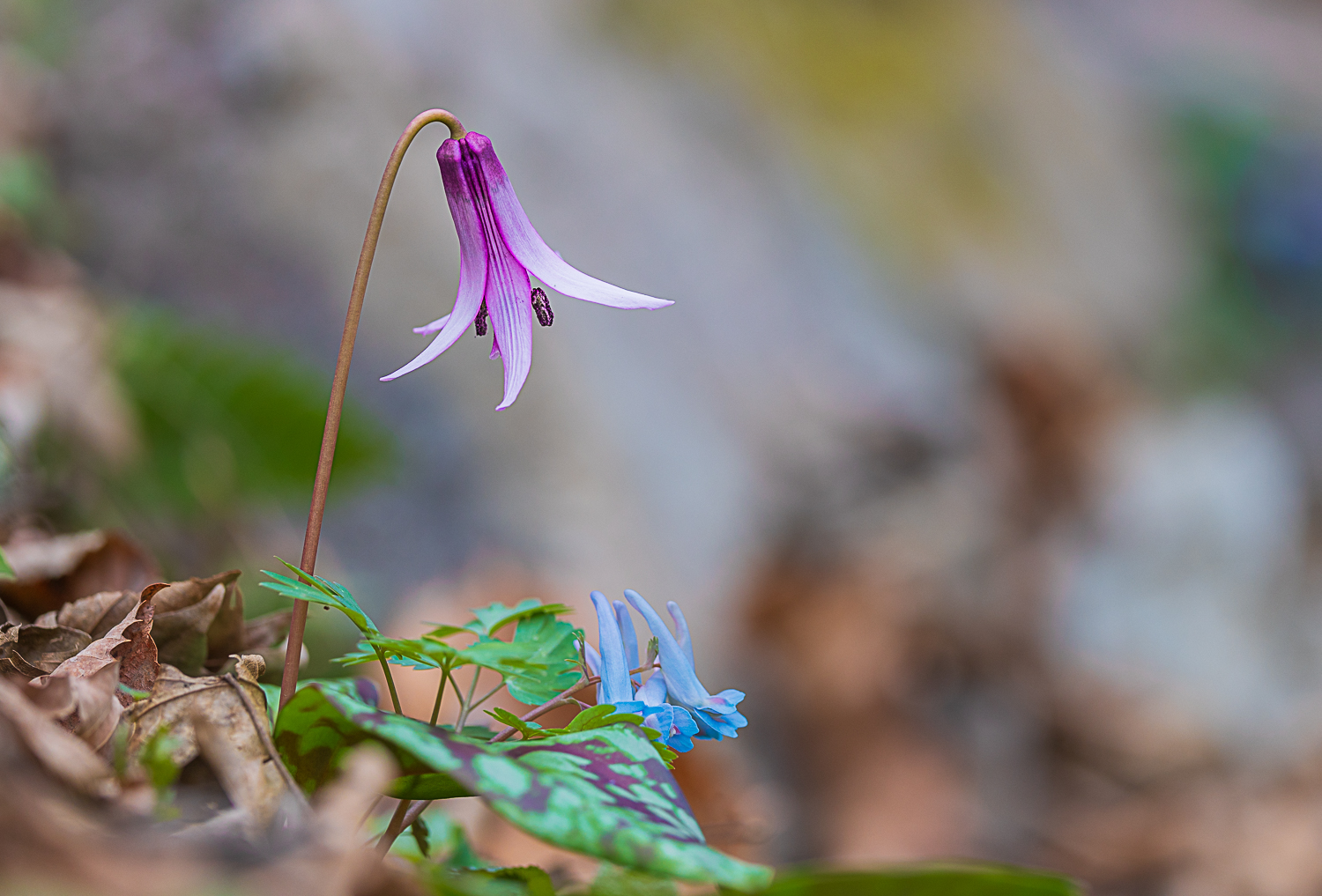 제목 없음 0K1A5761.jpg