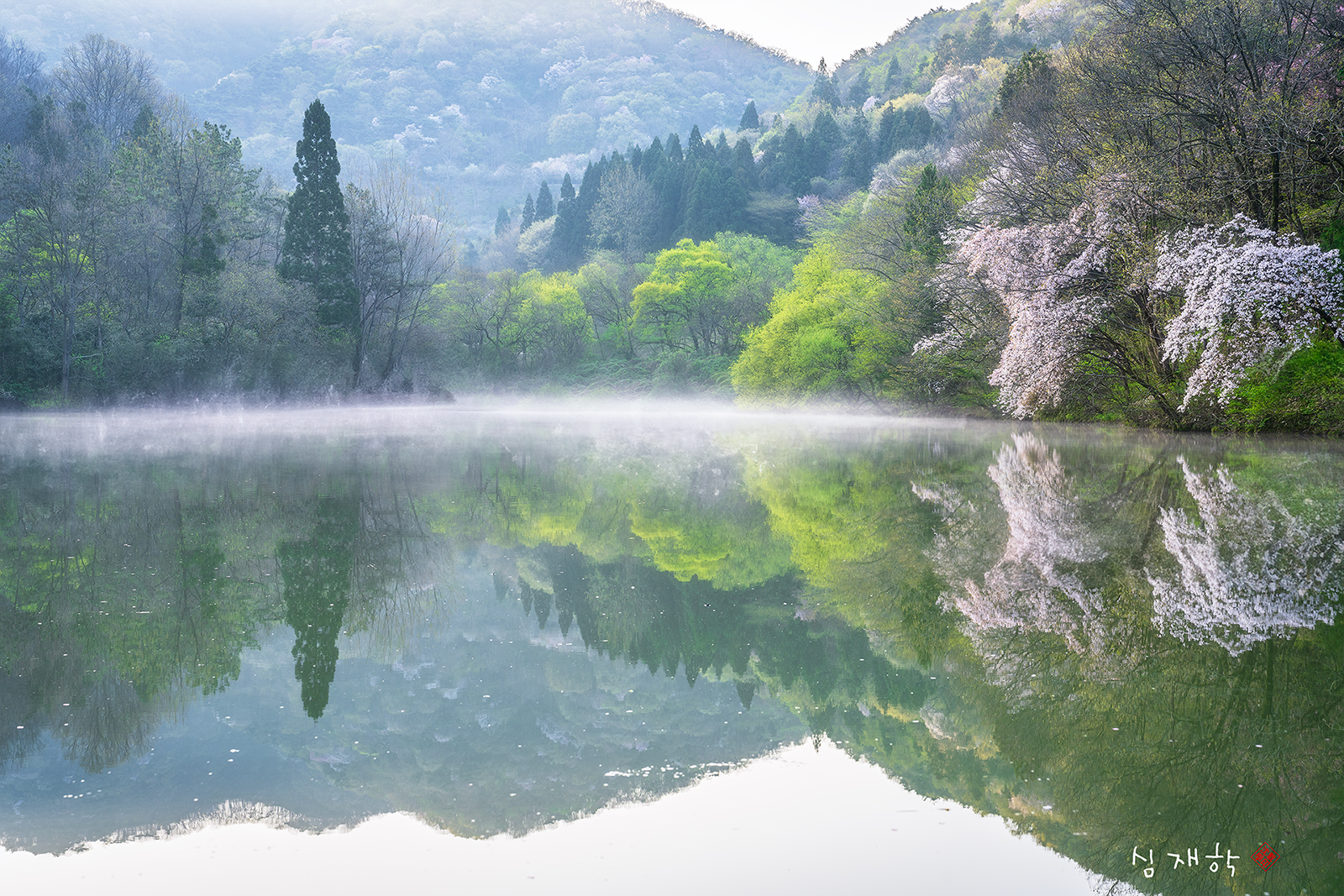 세량지03.jpg