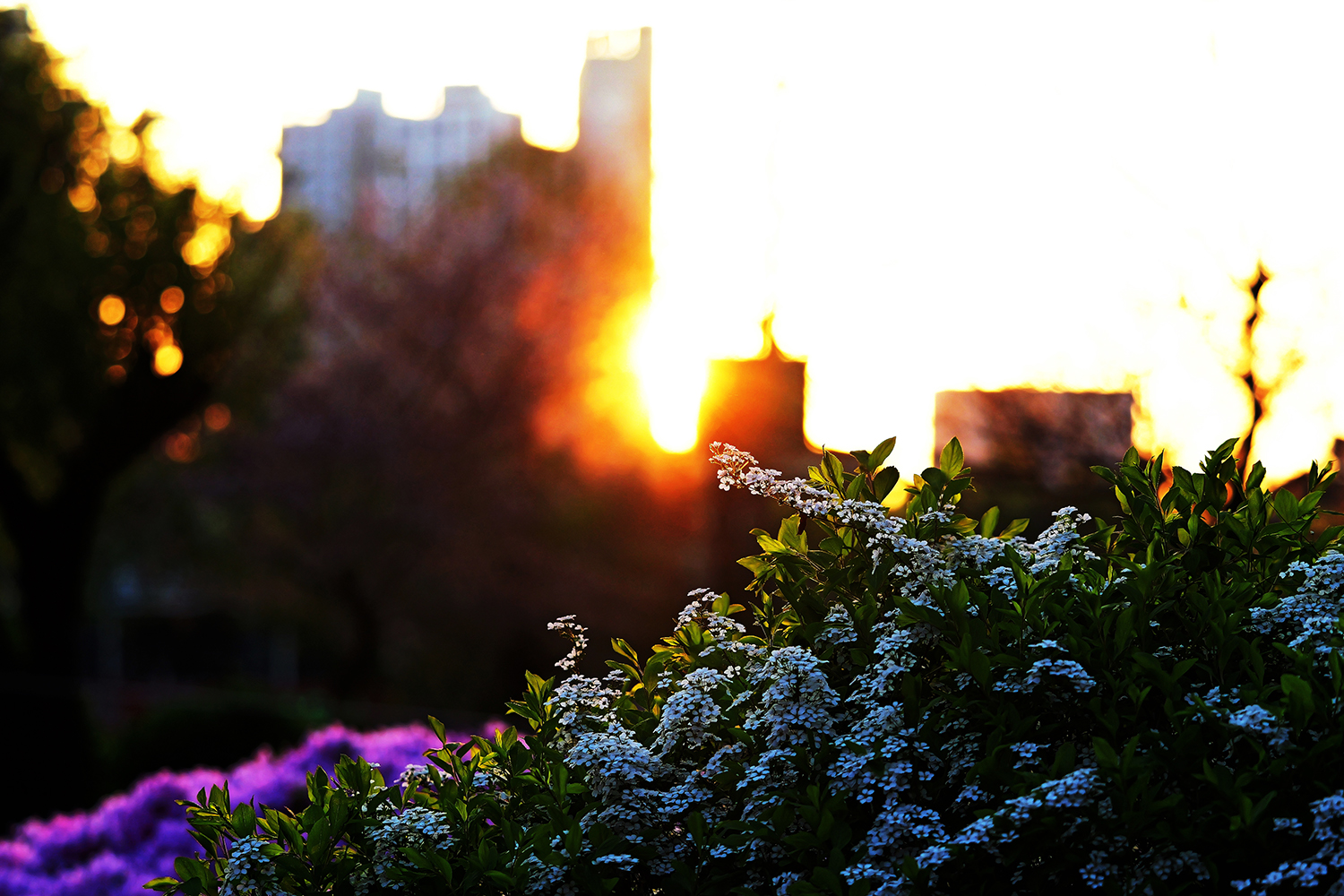 P1013002 (2) (2).jpg