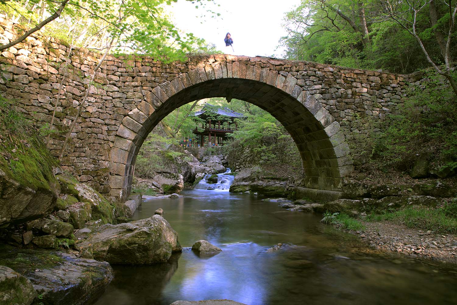 선암사 겹벚꽃567.JPG