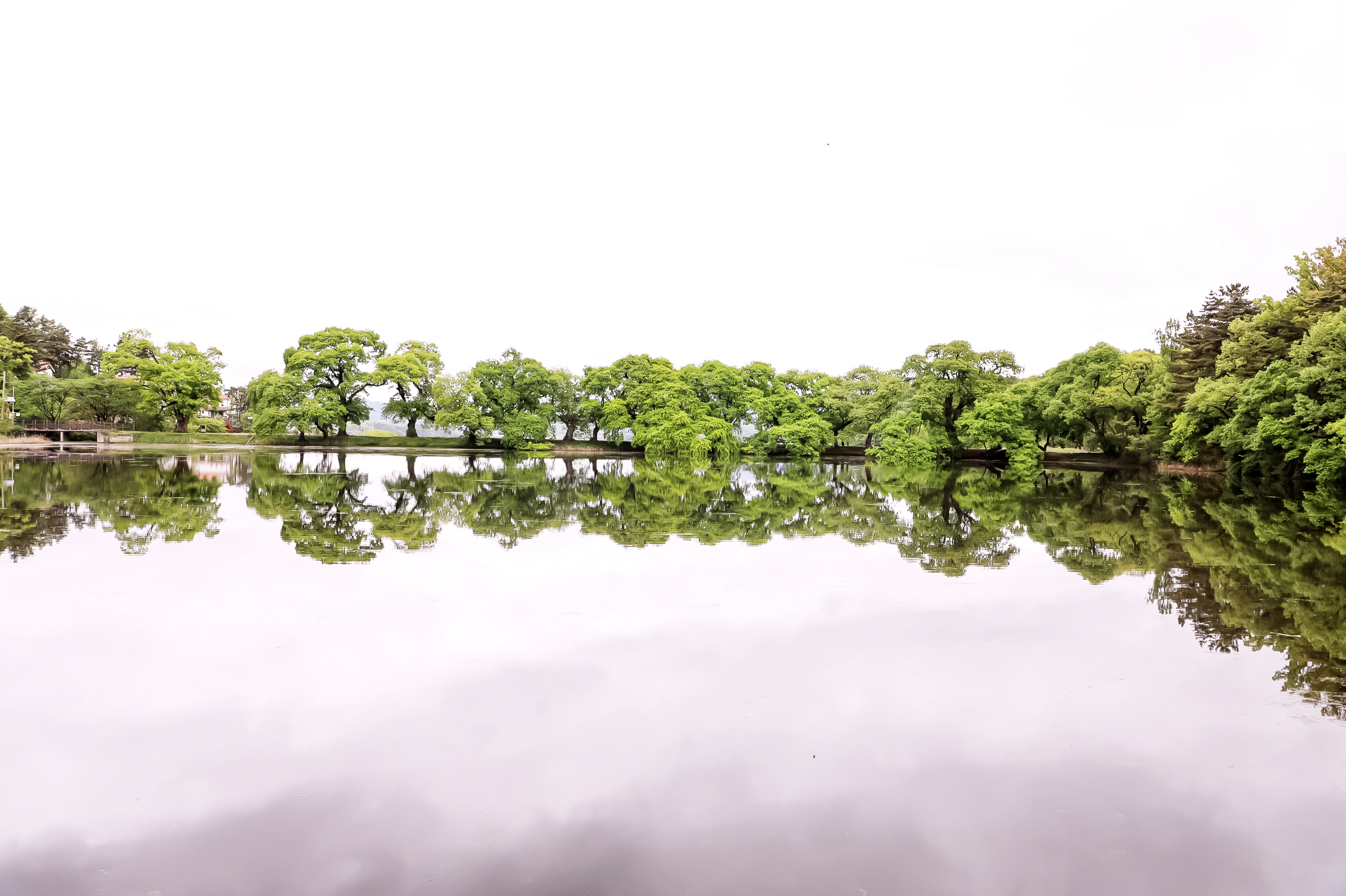 20240421-반곡지 (3).JPG