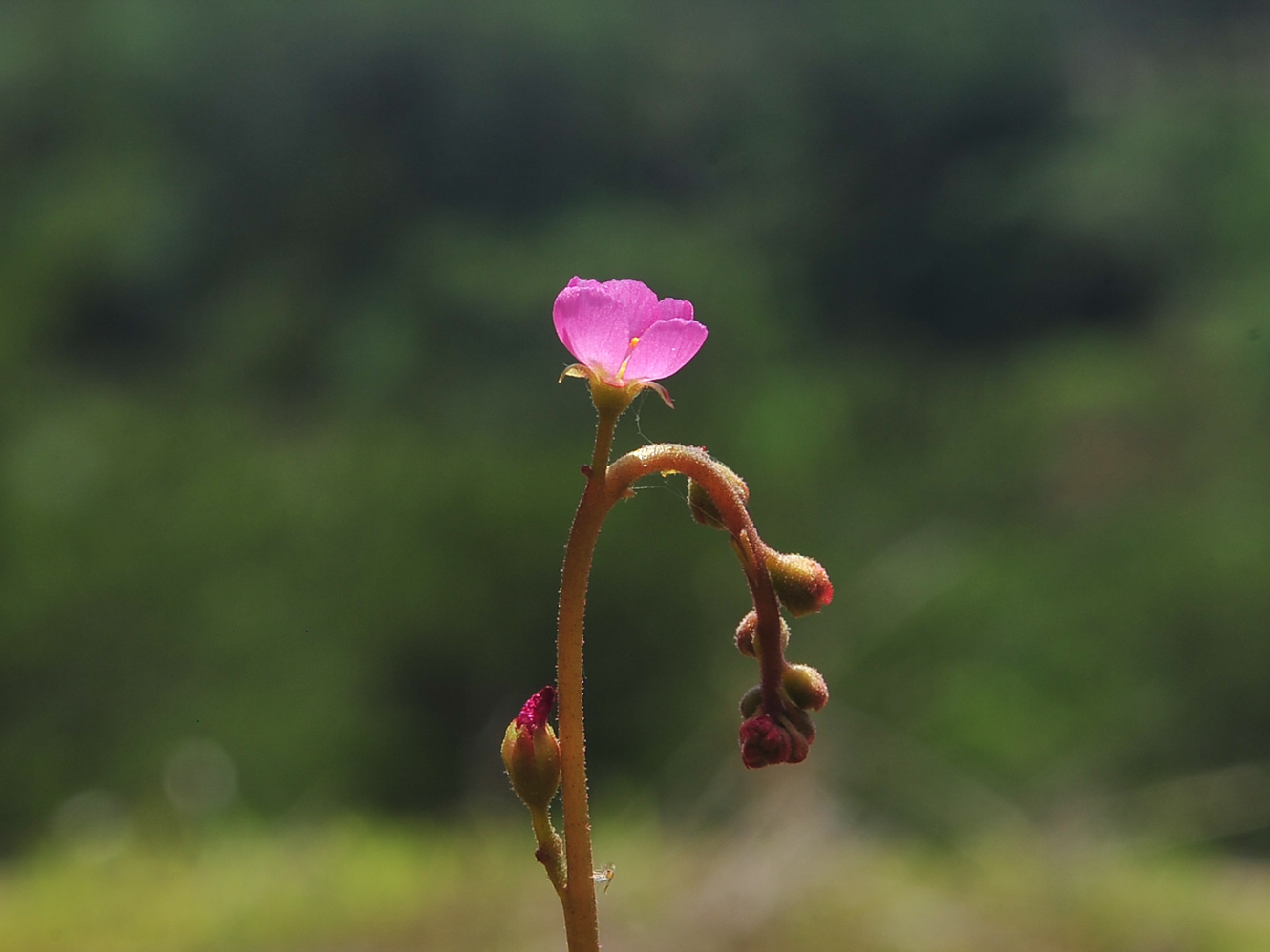 [꾸미기]DSC_0449.jpg