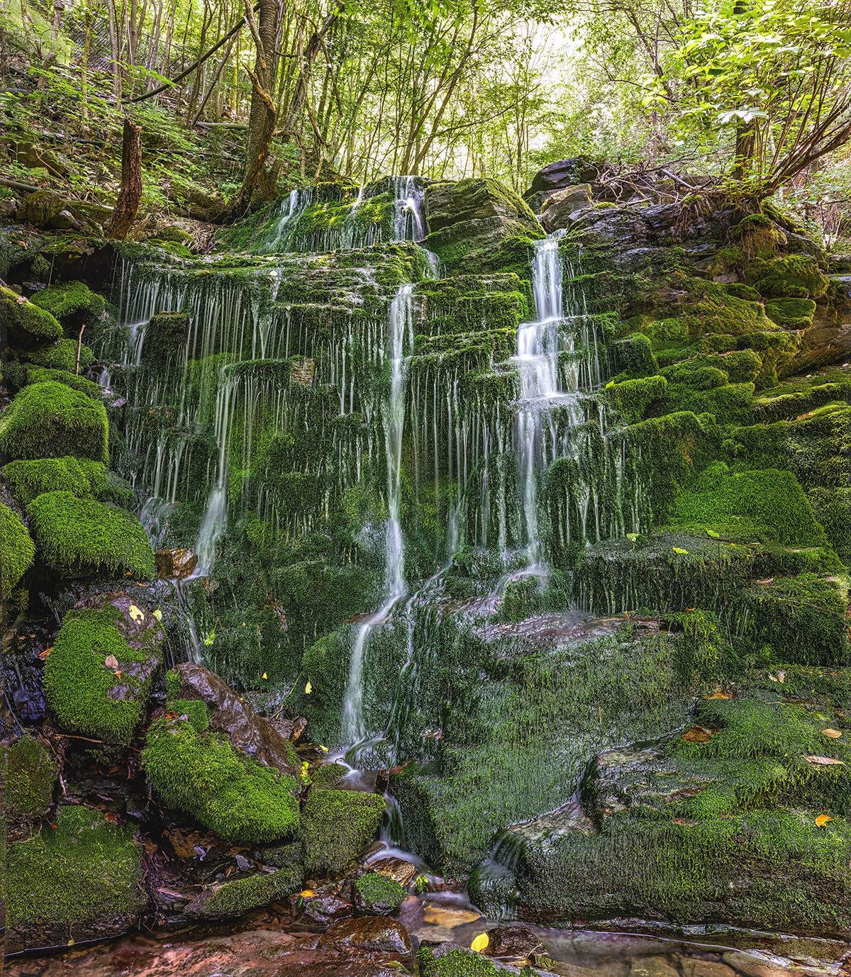 관음굴 이끼폭포_파노라마-1.jpg
