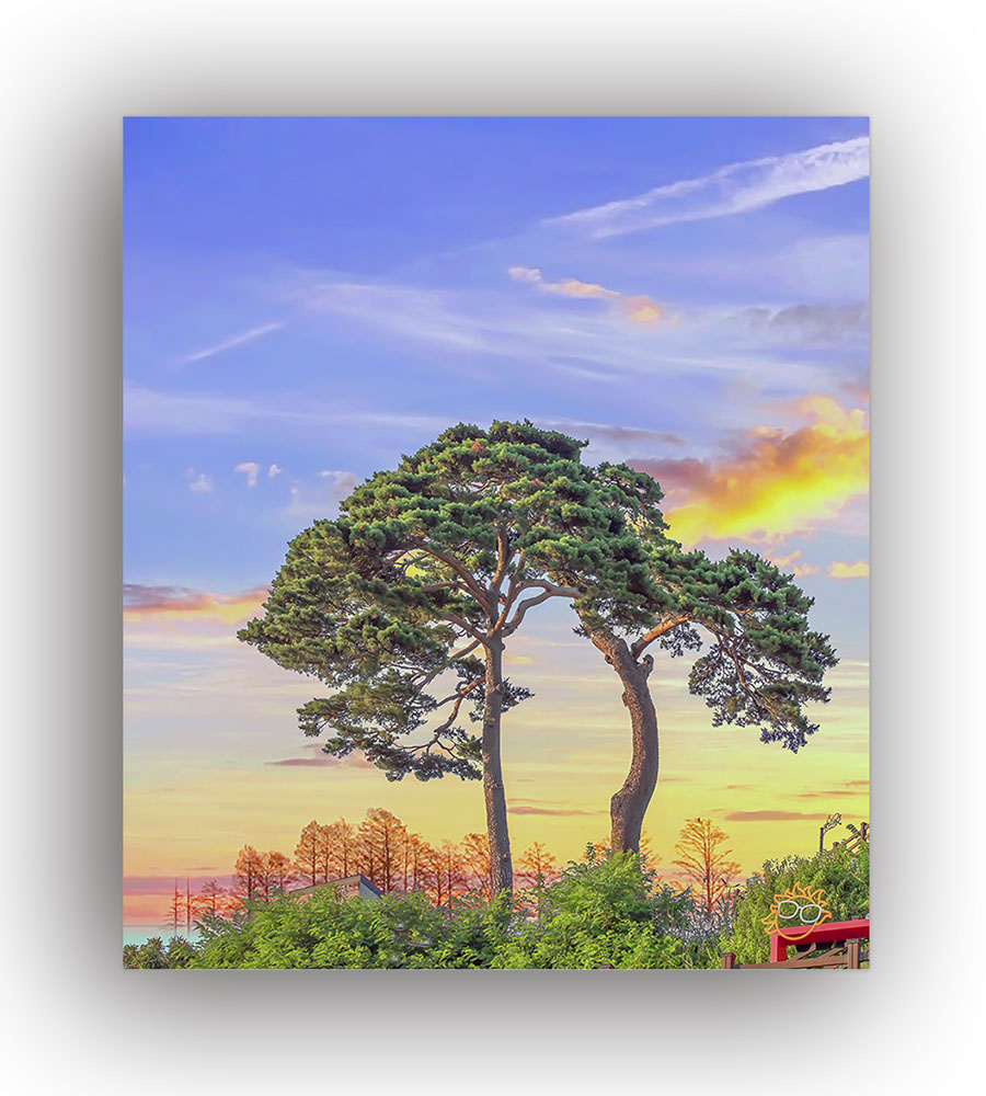 6V4A0751-2 (1)제출.jpg