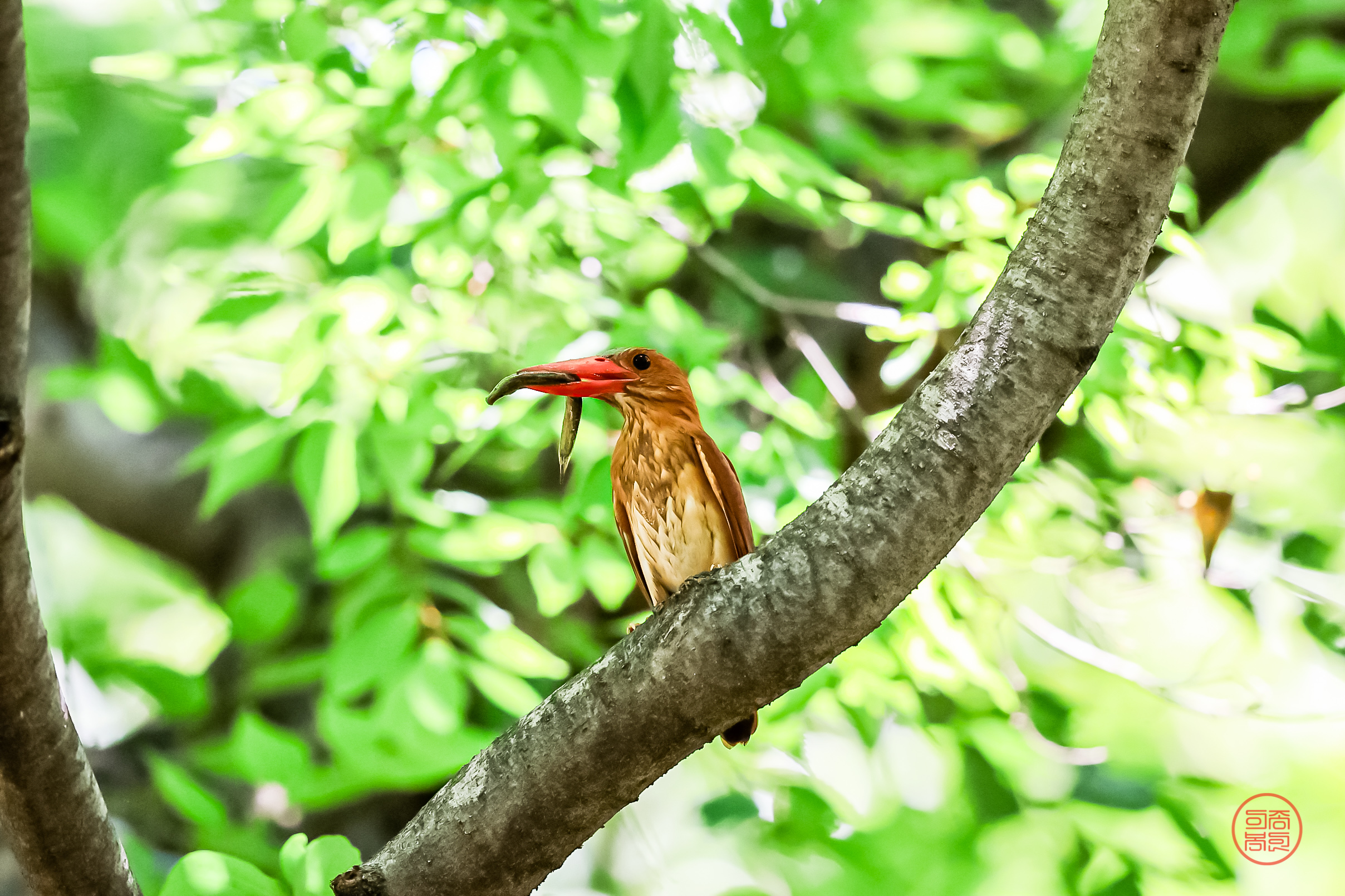 20240701-옥산서원 (1).JPG