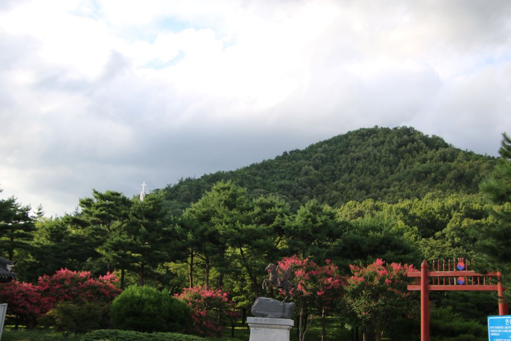 신숭견장군과배롱7...JPG