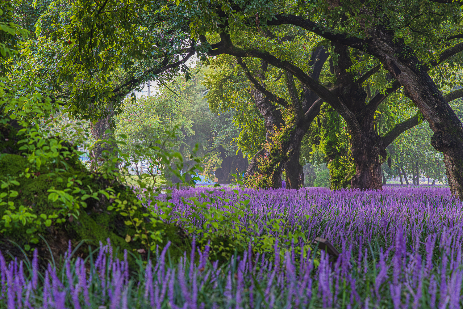 제목 없음-3920-향상됨-노이즈 감소-1.jpg