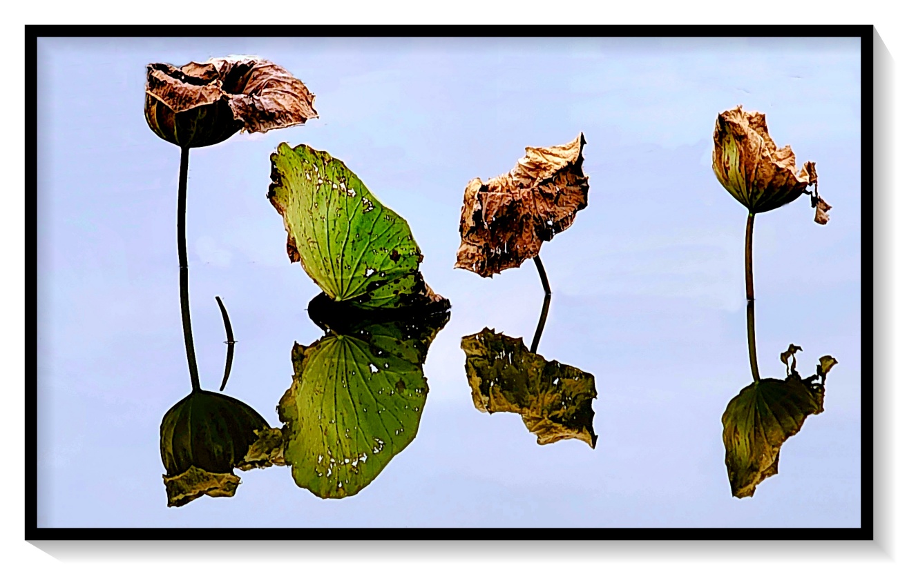 20241021_155231 - 복사본.jpg