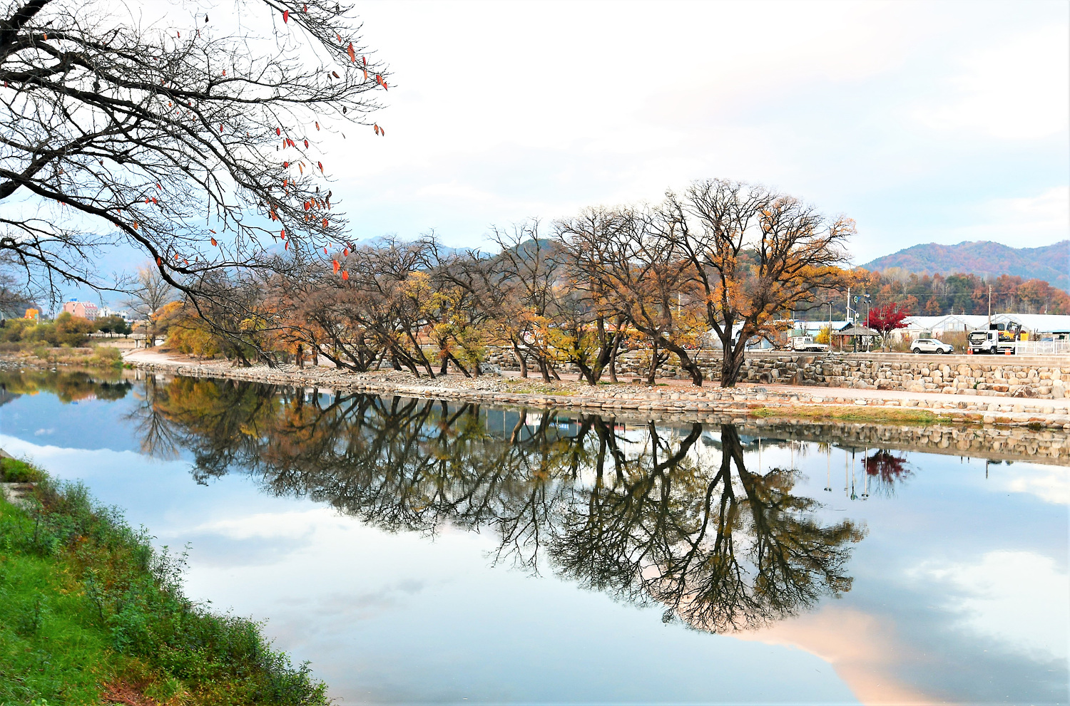 晩 秋 반영.jpg