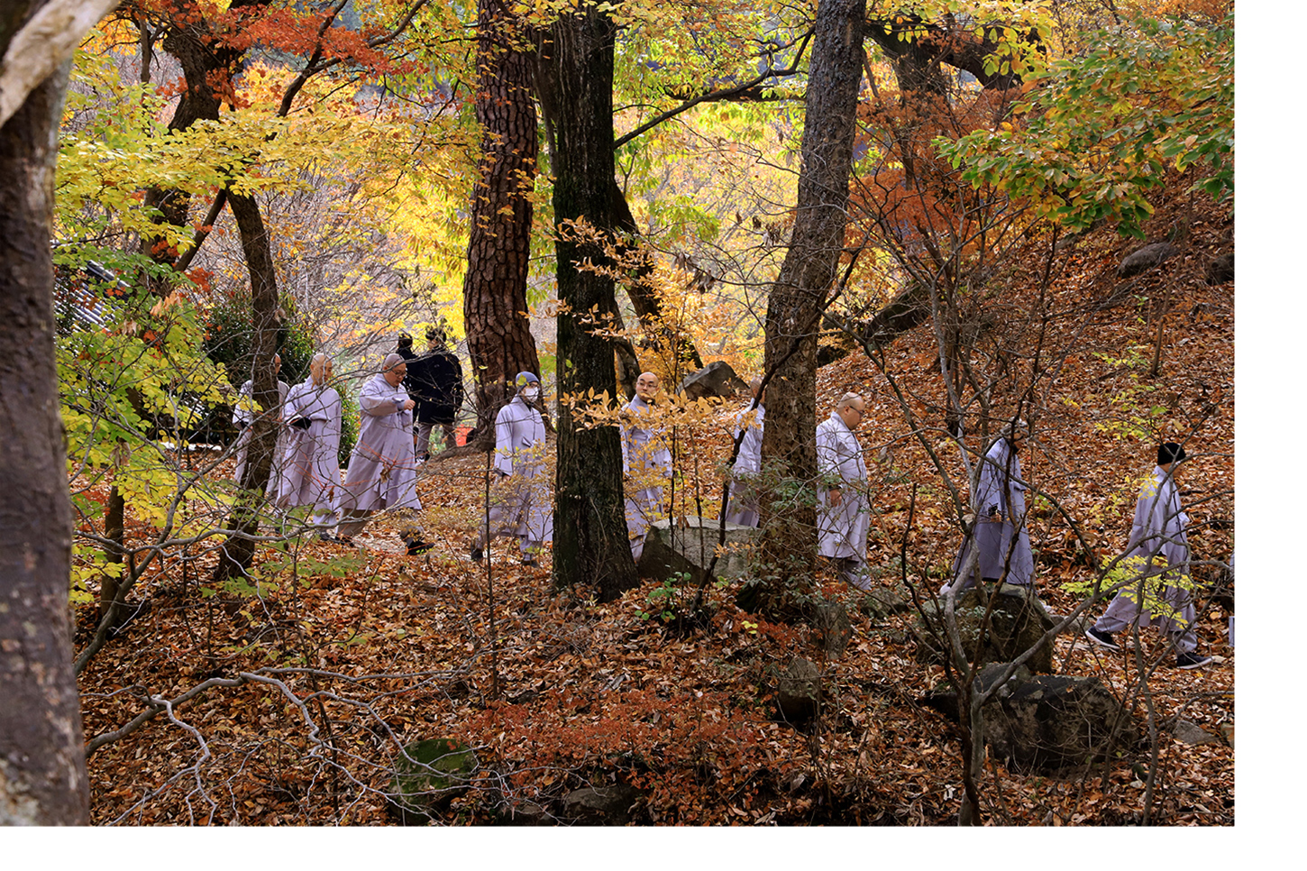 IMG_4263 복사 2.jpg