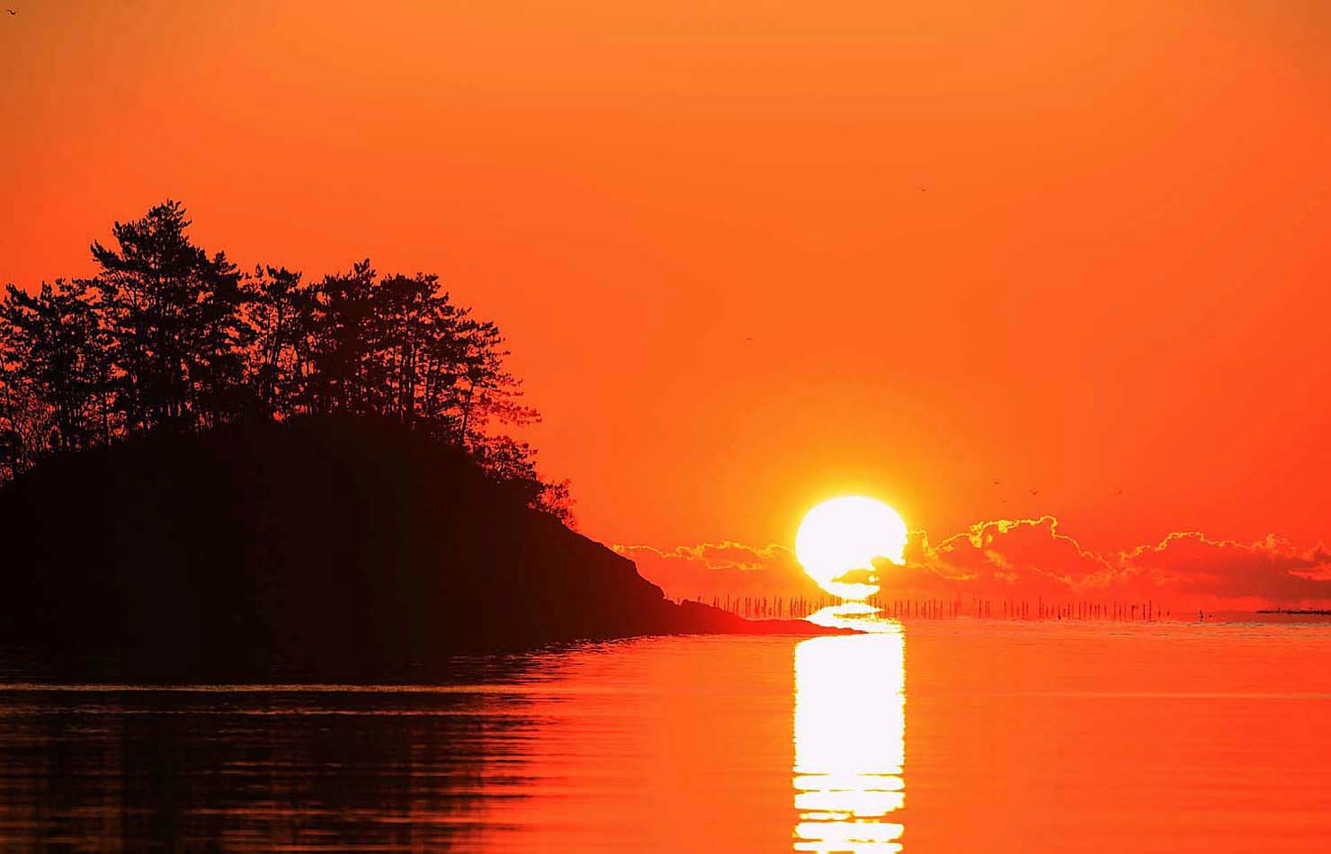 추도일출 23Z2A01331.JPG