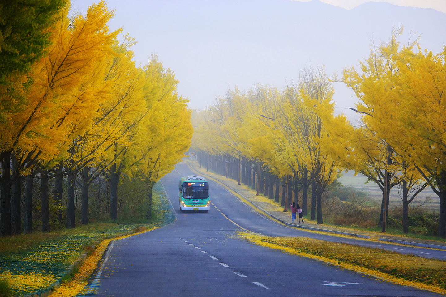 KakaoTalk_20241117_142948945_04 복사.jpg