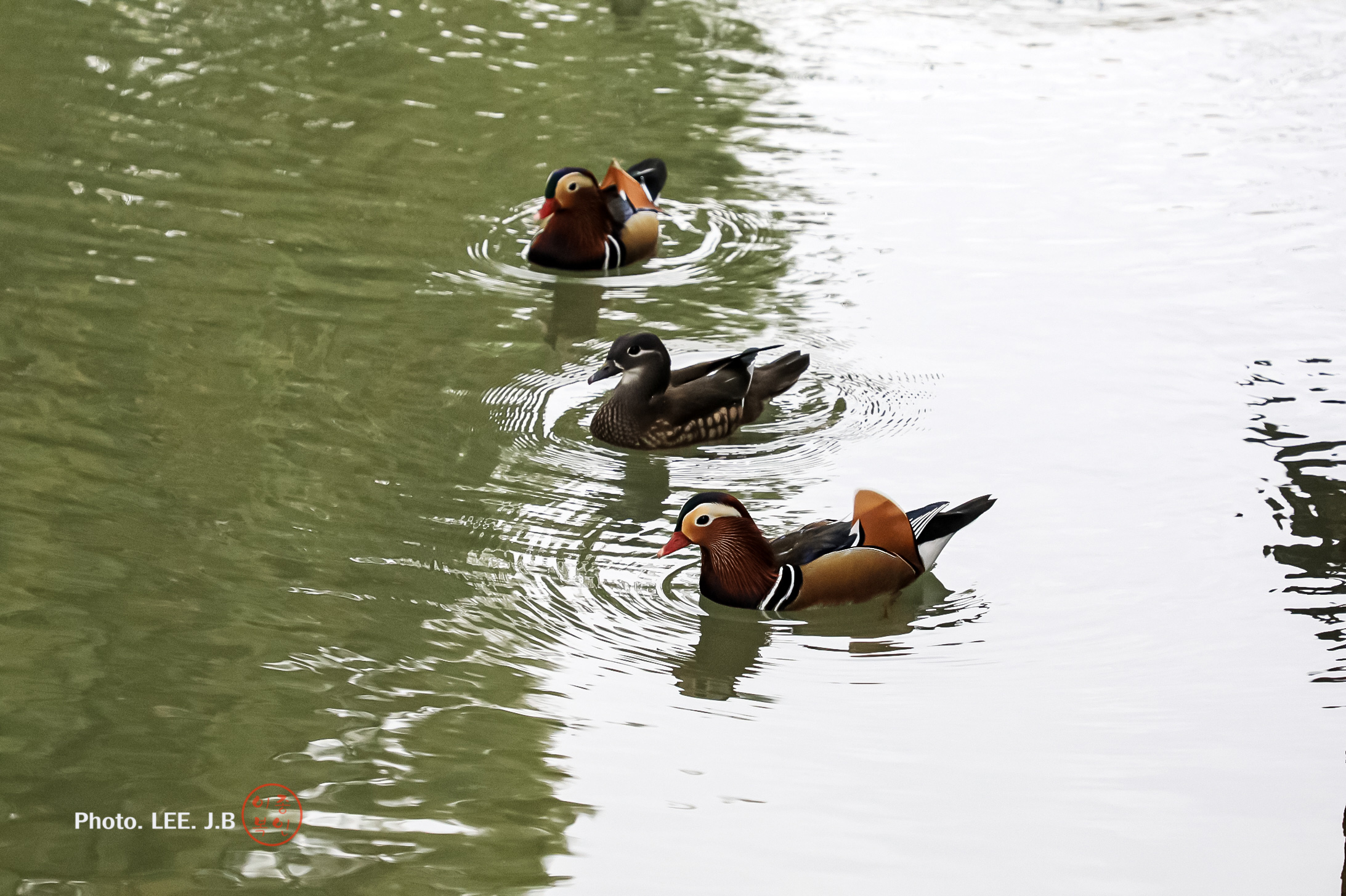 20241117-남원 광한루원 (41).JPG