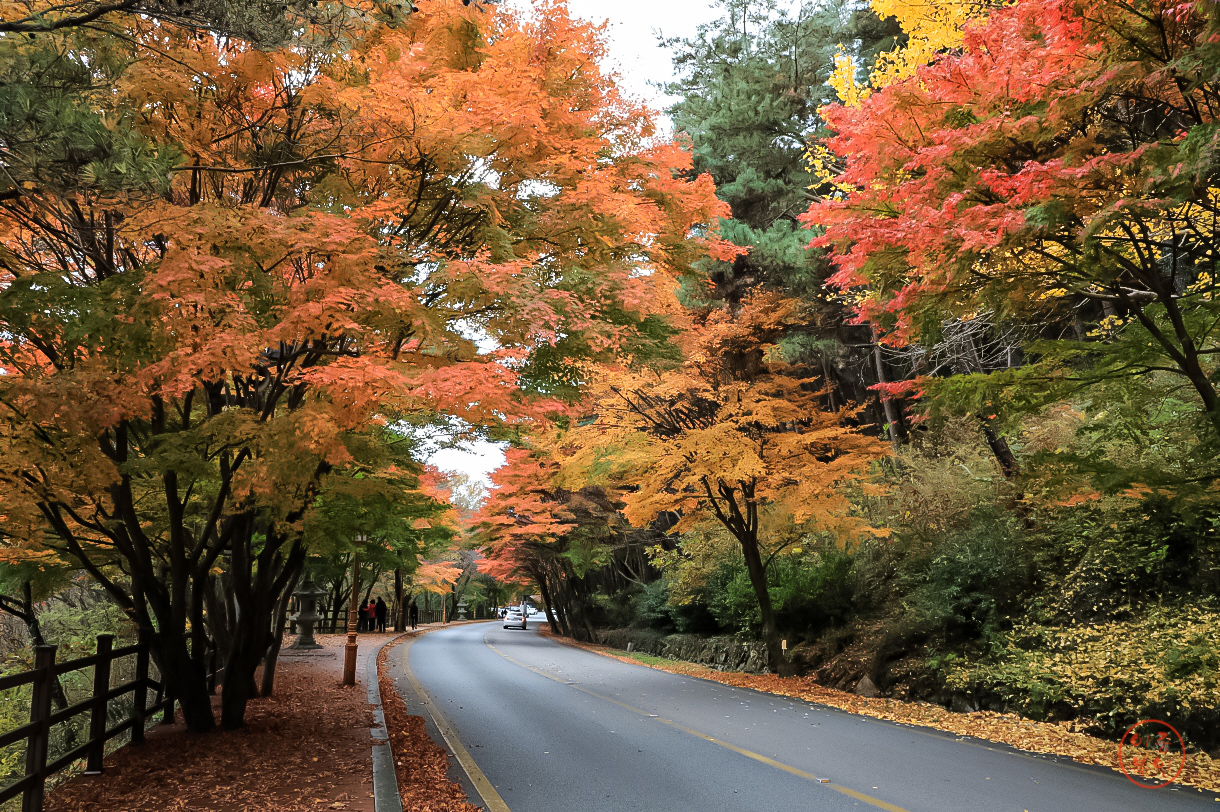 20241117-구례 화업사 (9).JPG