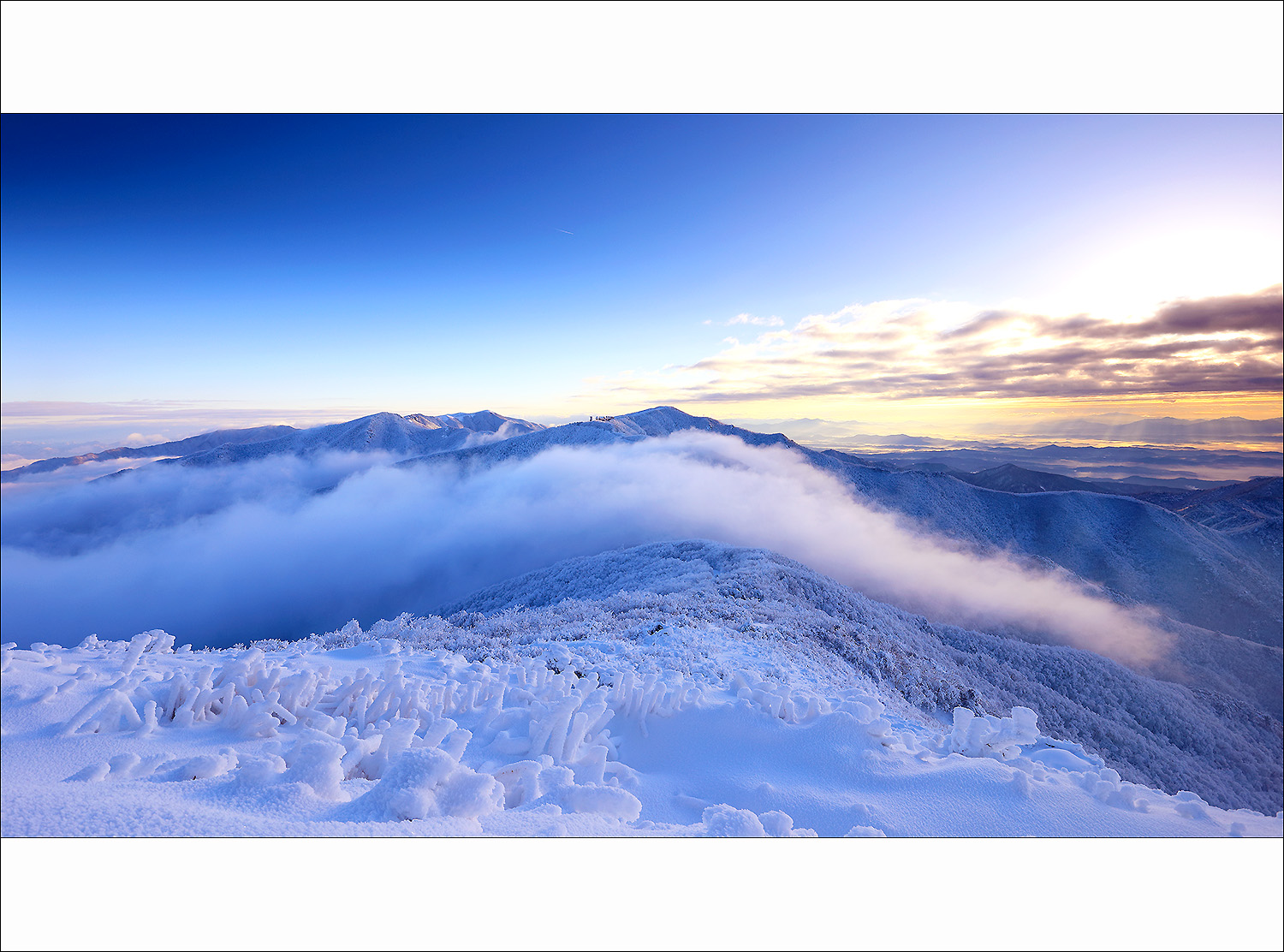 CHOI4499-dpp 복사-1.jpg