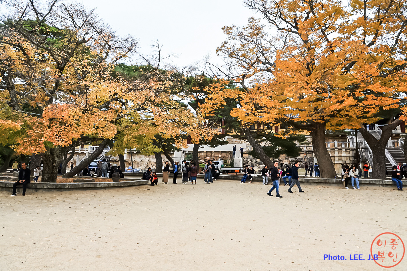 20241110-경주여행2 (25).JPG