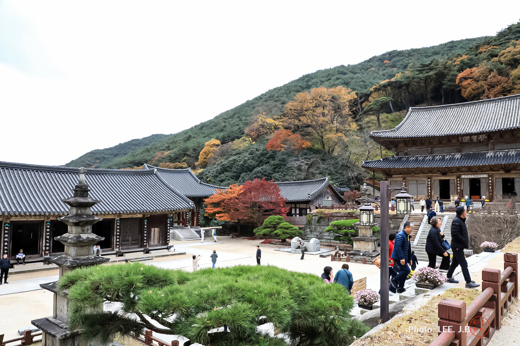 20241117-구례 화업사 (36).JPG