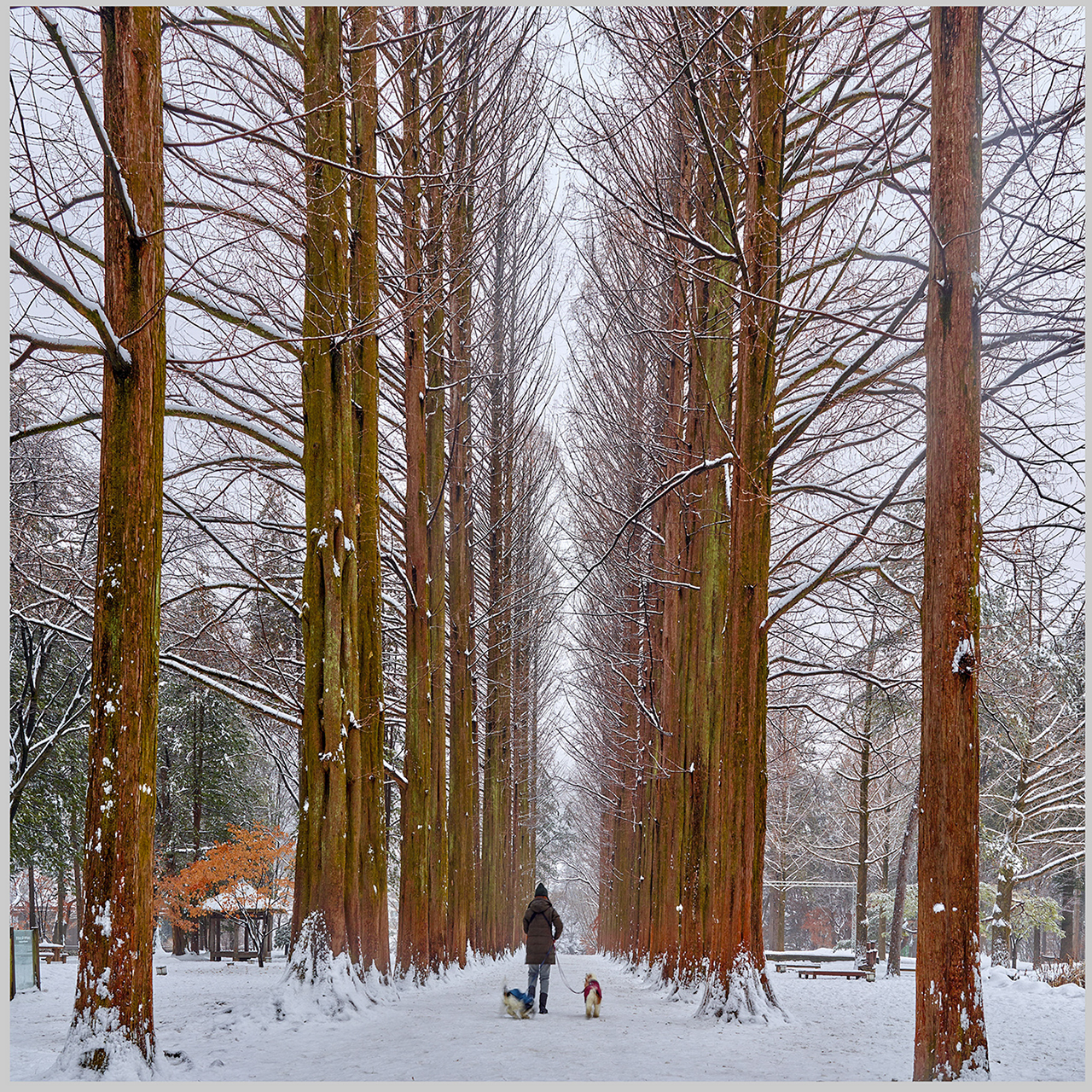 slrCF024601 500px.jpg