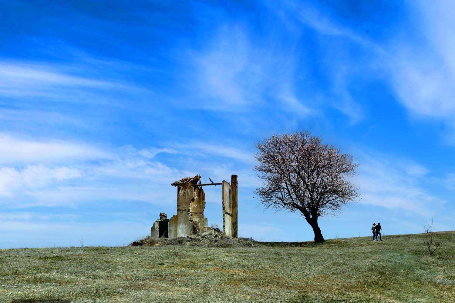 외롭지 않아요.jpg