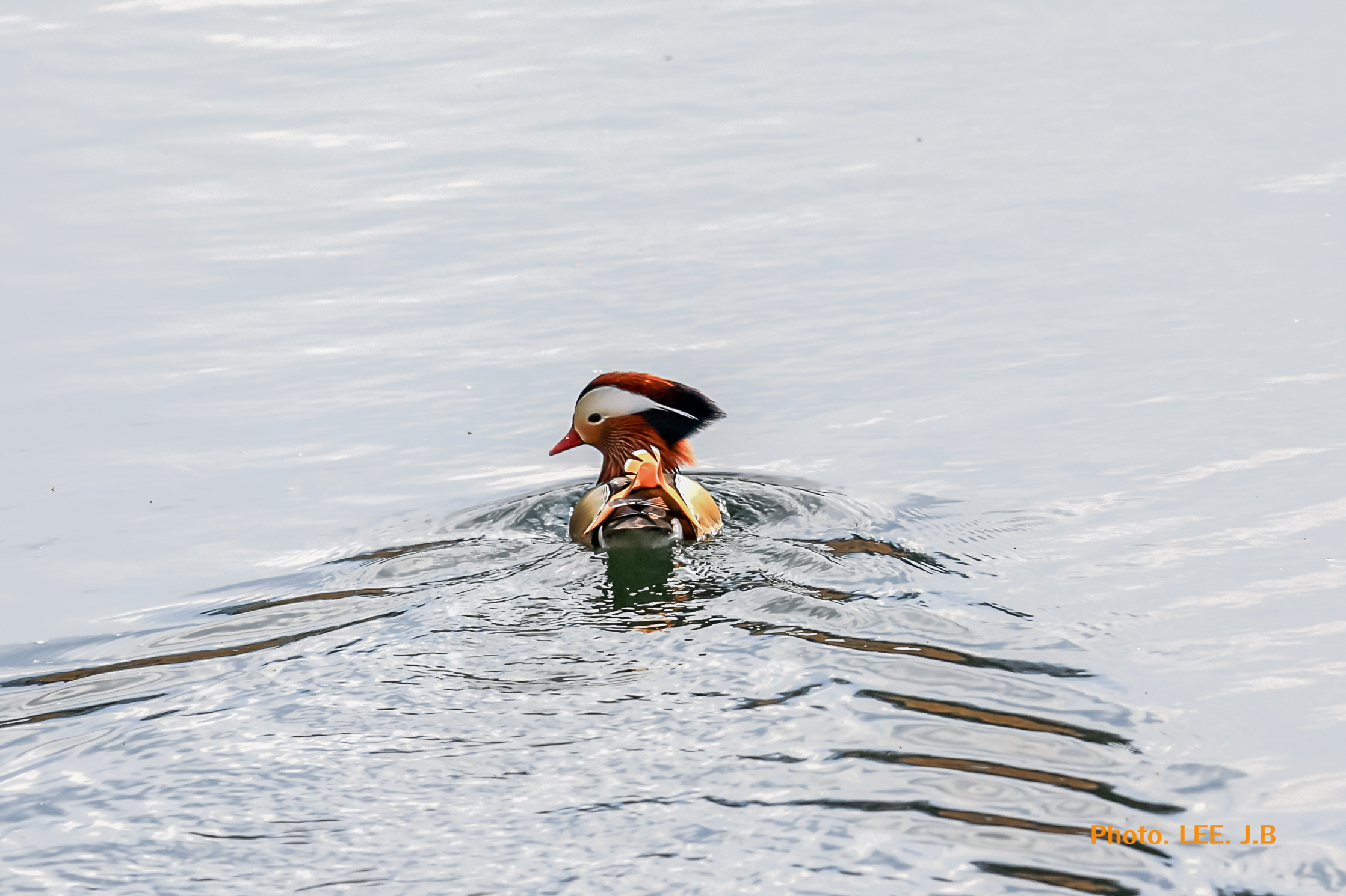 20250308-경호강 (17).JPG