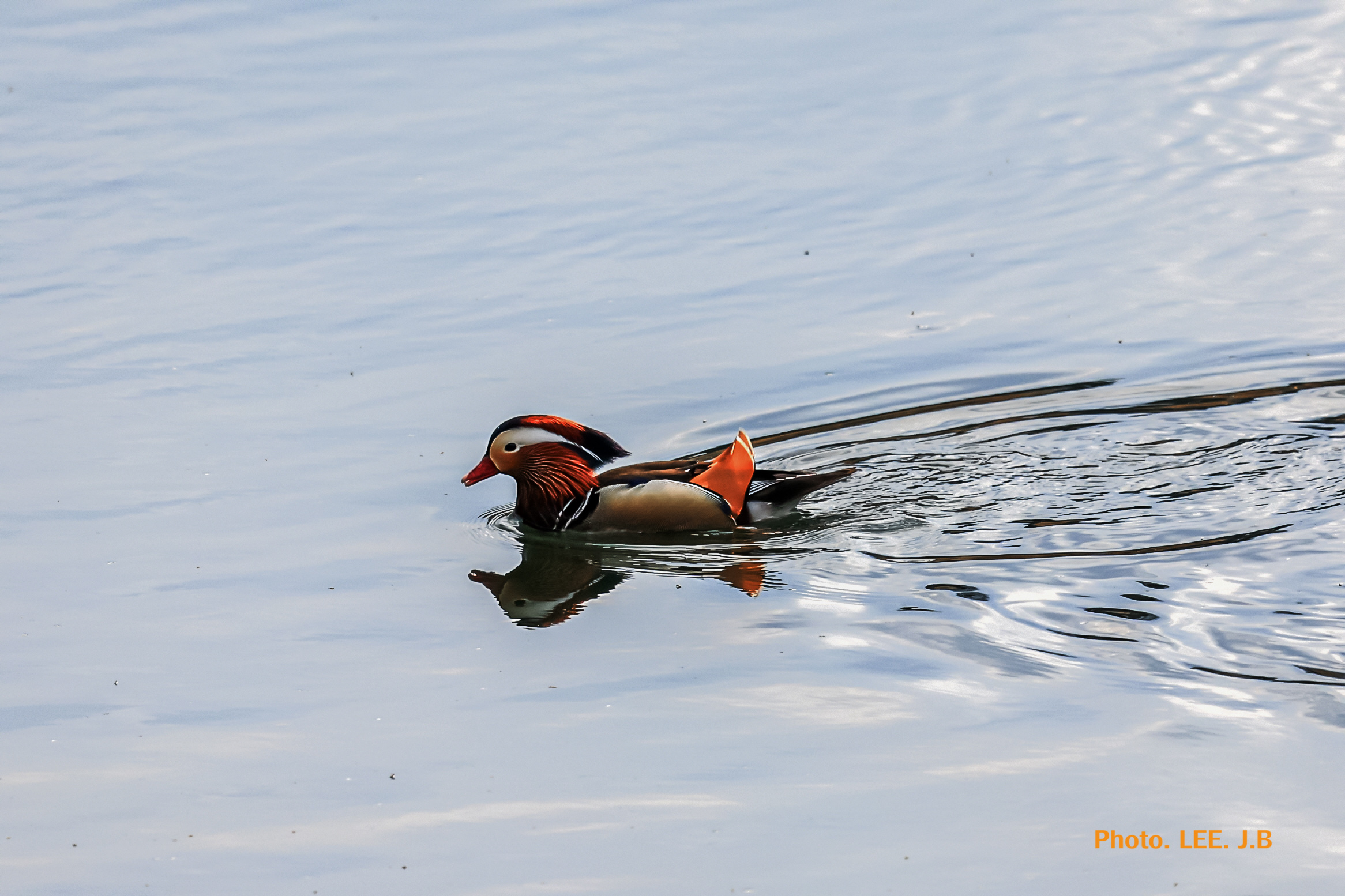 20250308-경호강 (18).JPG