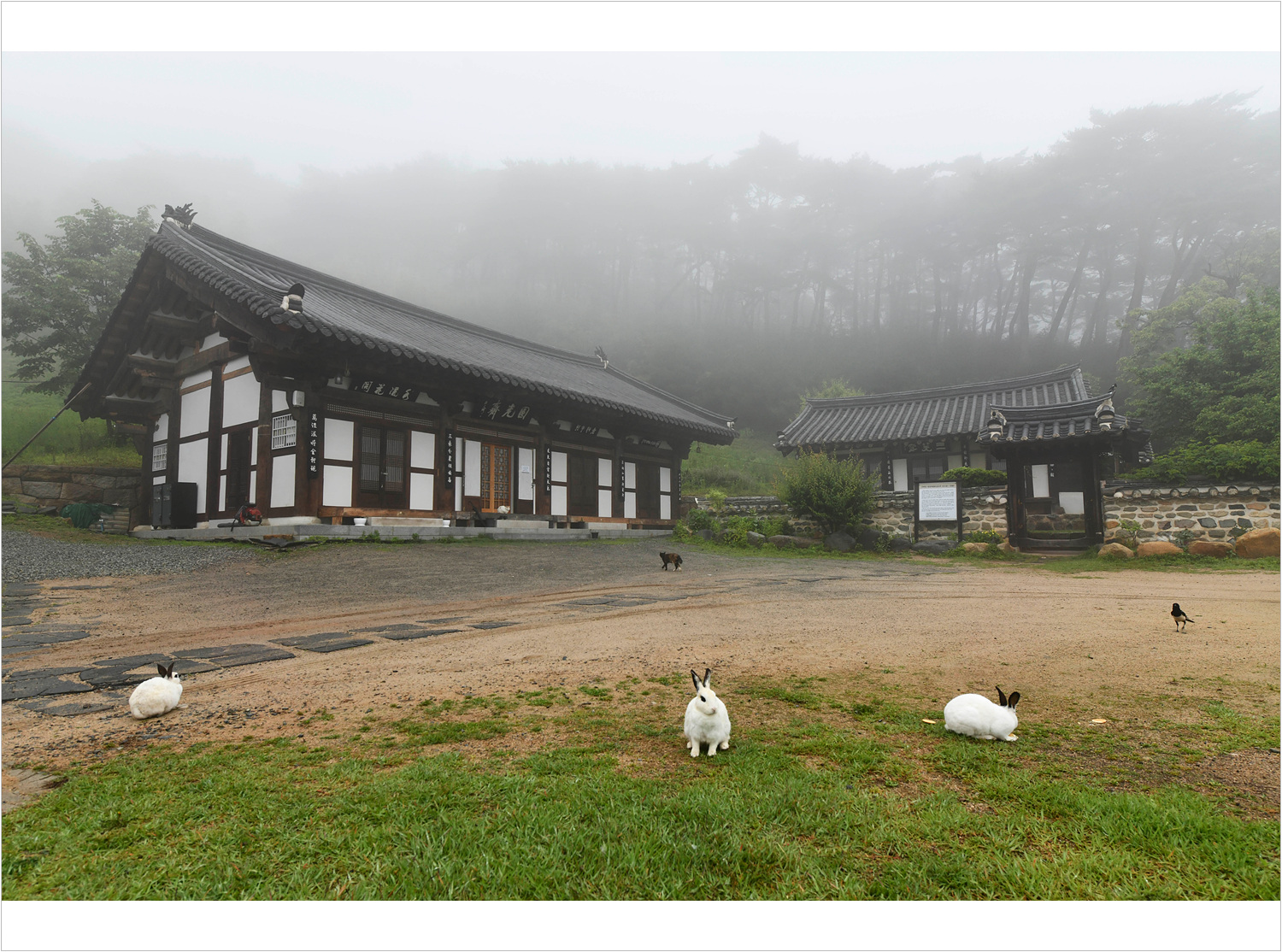 극락암 동물.jpg