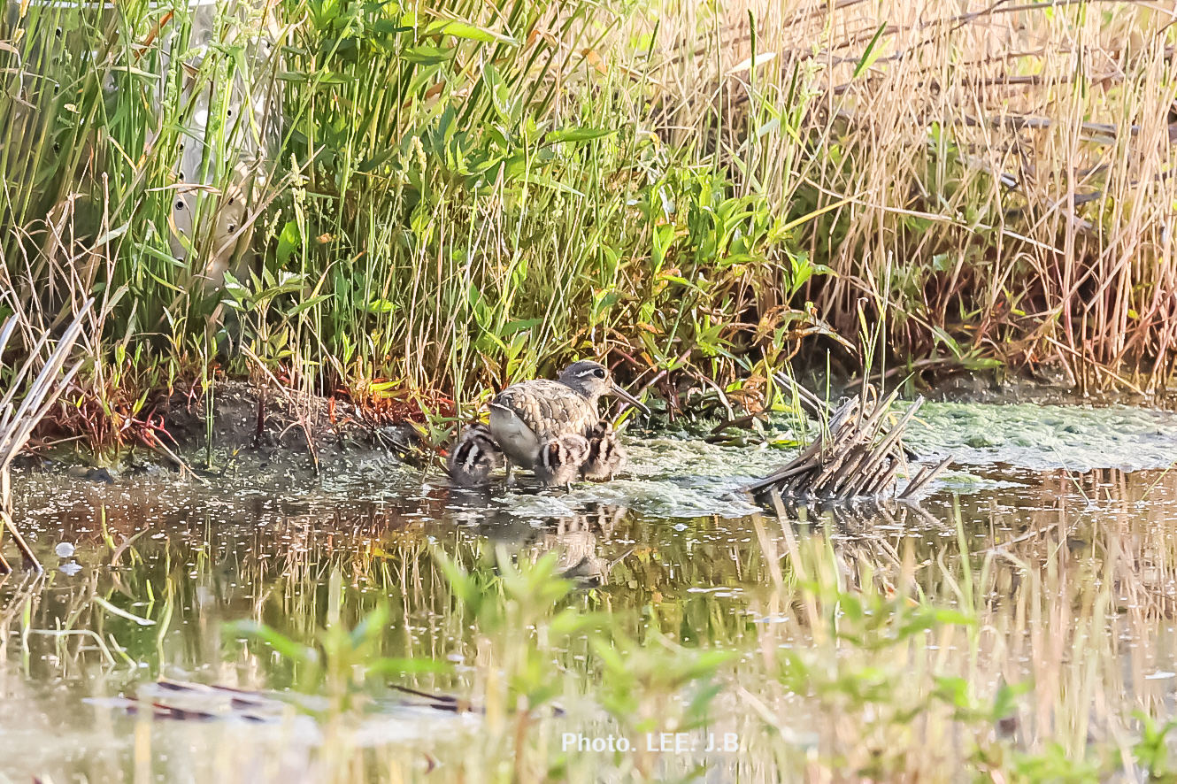 20250531-남창중학교 (9).JPG