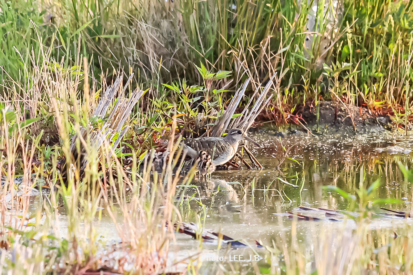 20250531-남창중학교 (4).JPG