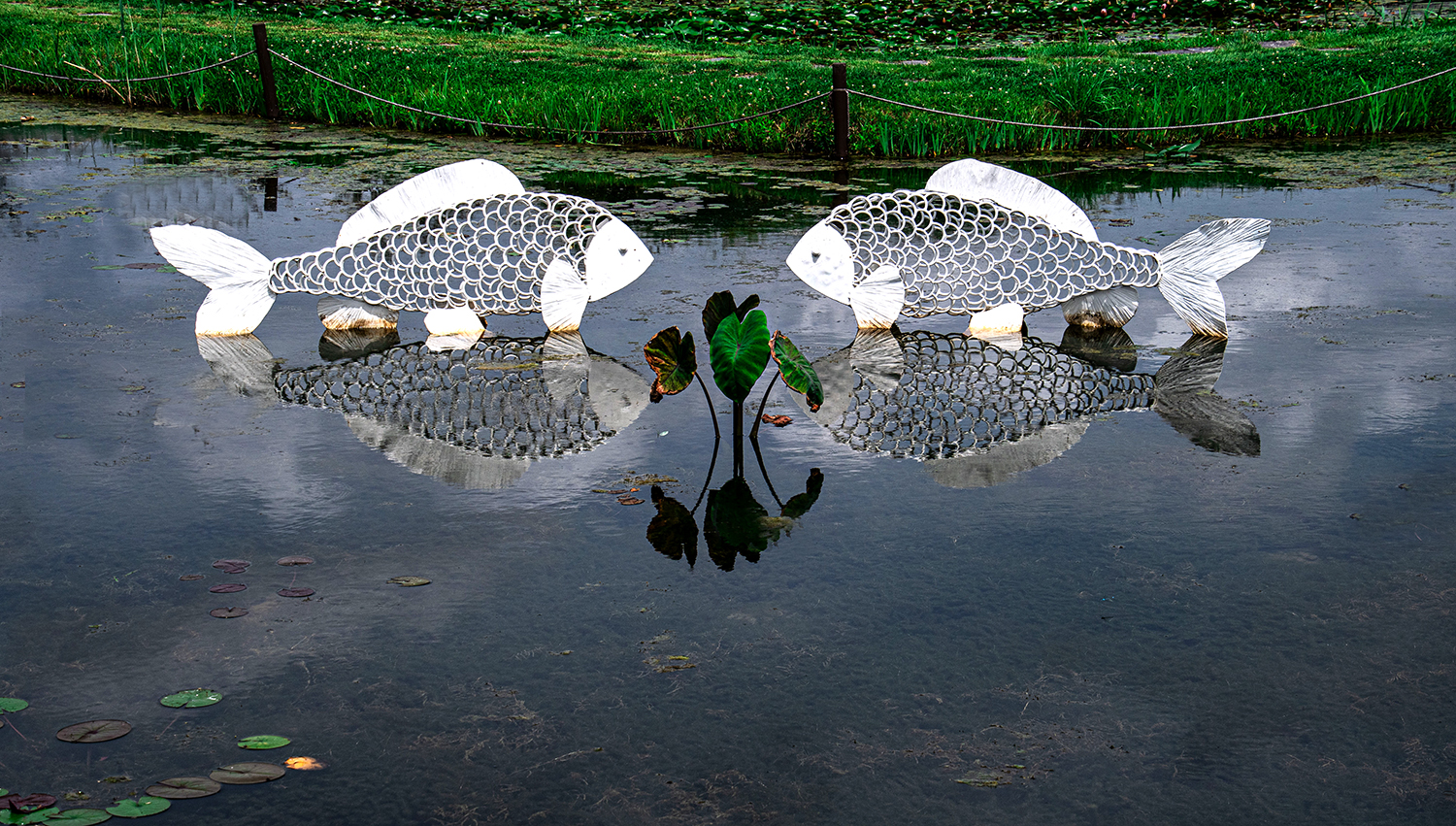 관곡지 소경.jpg