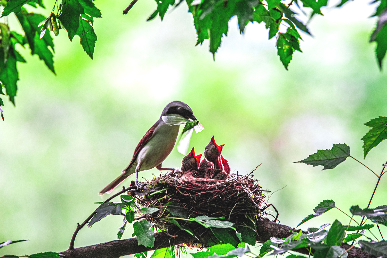 누구에게 줄까요.jpg