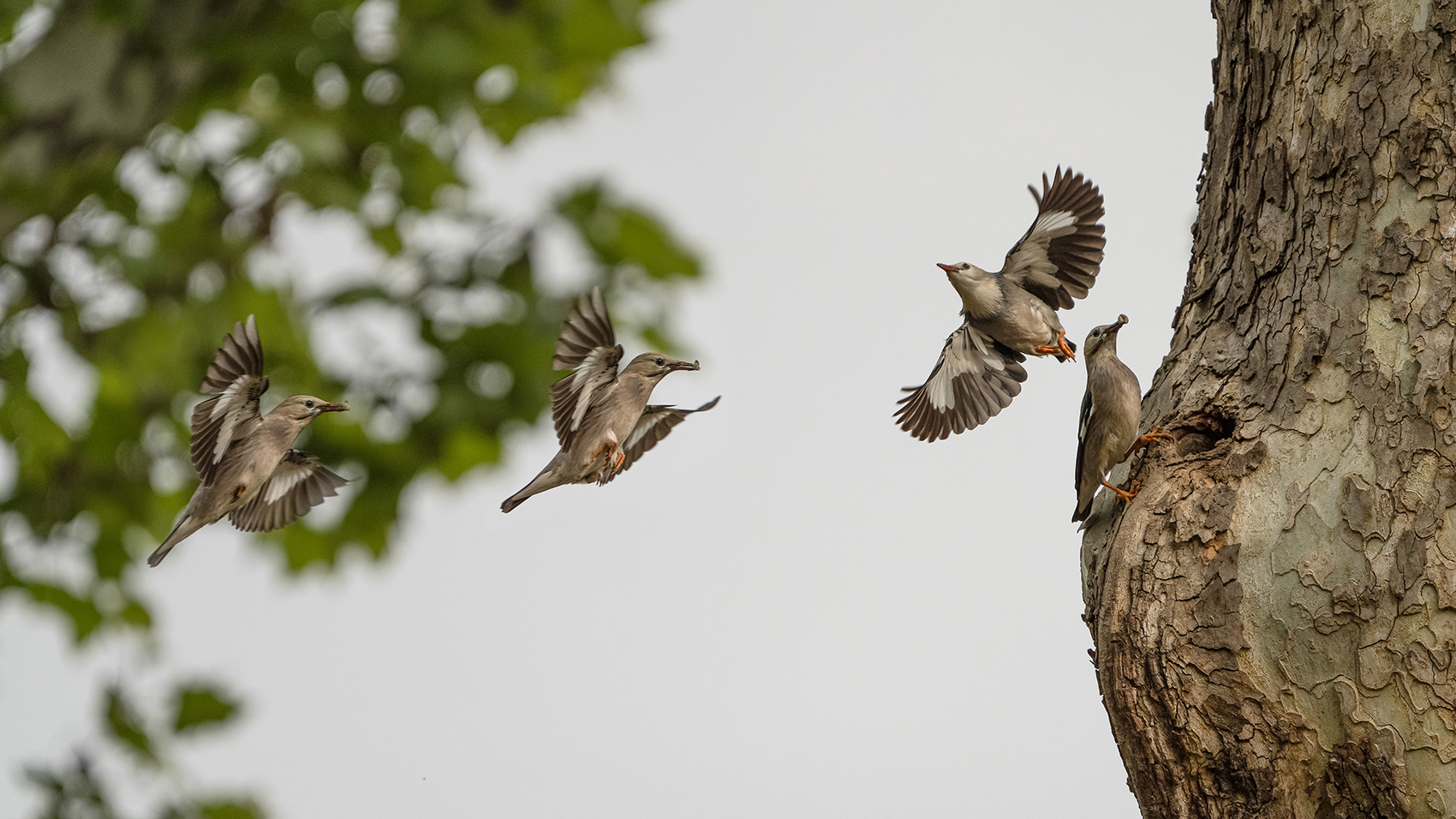 swkksskpsgjlg (13).jpg