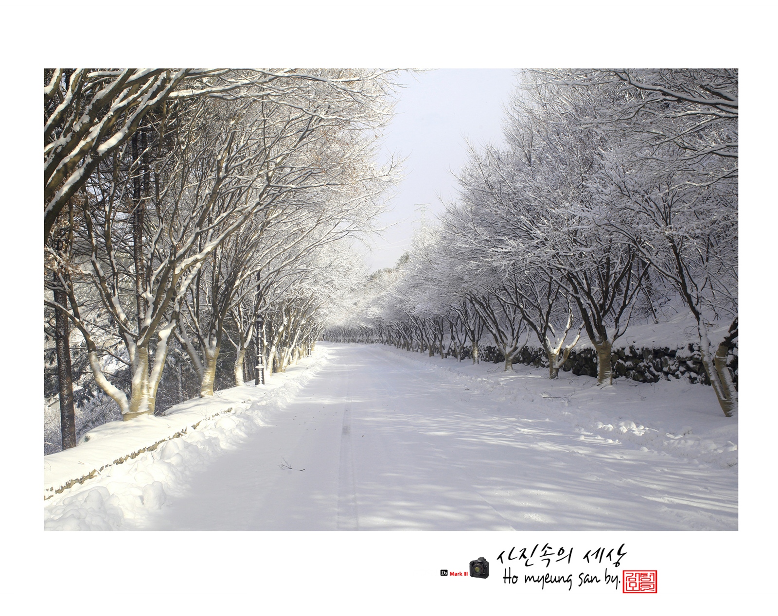 겨2.jpg