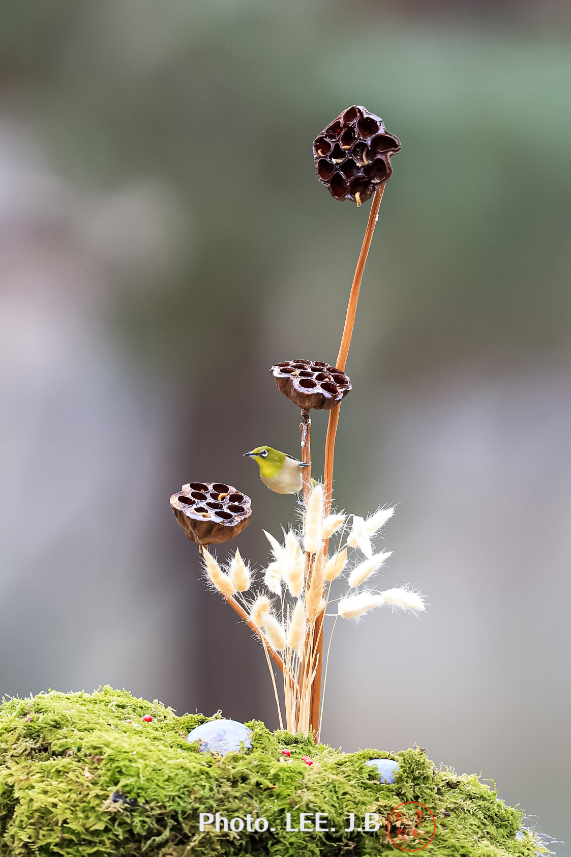 20250215-문수구장 (2).JPG