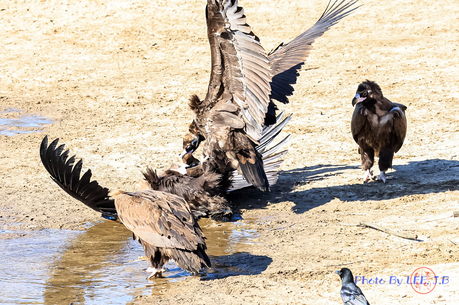 20250208-우곡중학교 (24).JPG